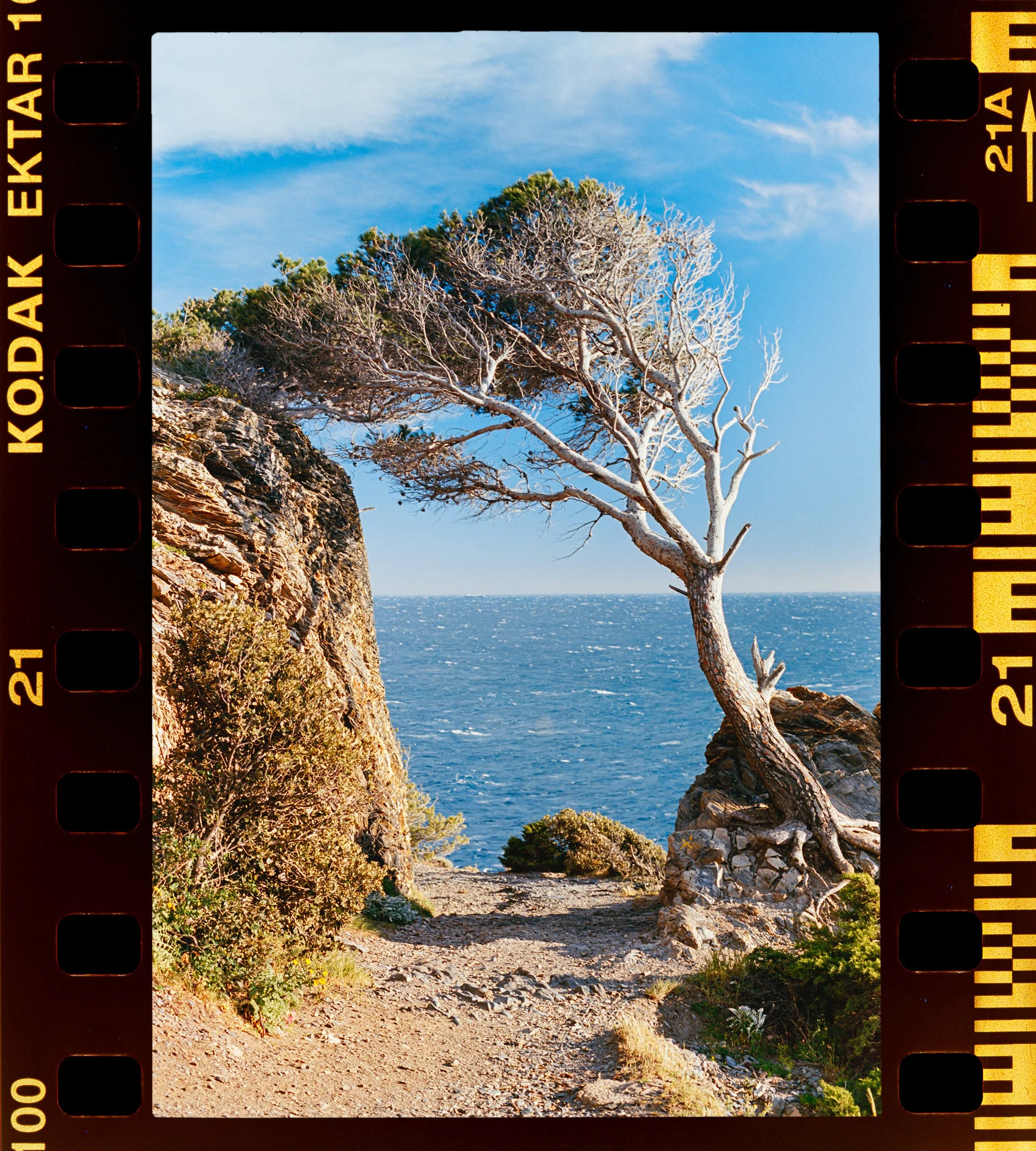 RFerand_C63_F3T_Ektar100_10-Giens-HD.jpg