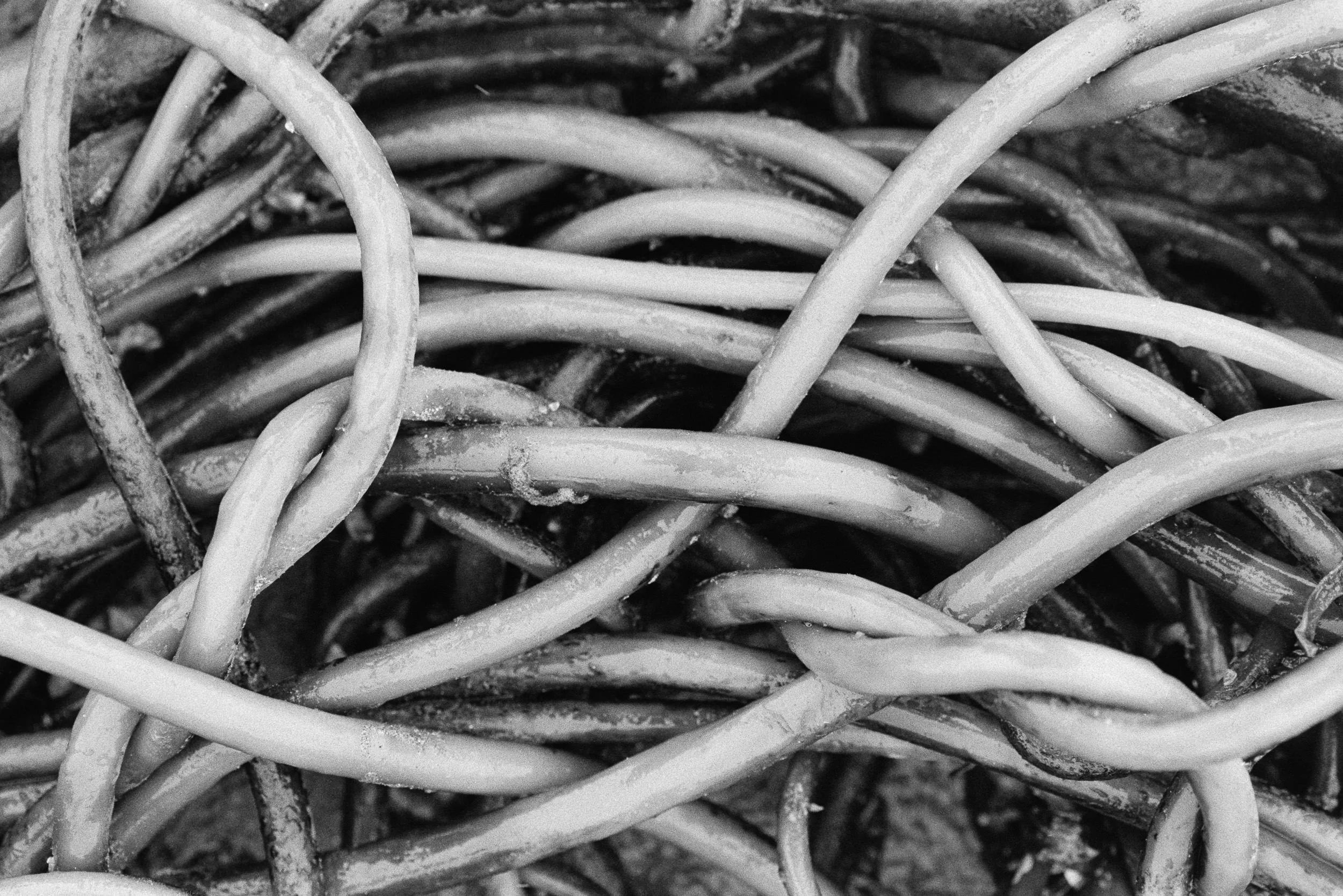 Textures of the Salish Sea