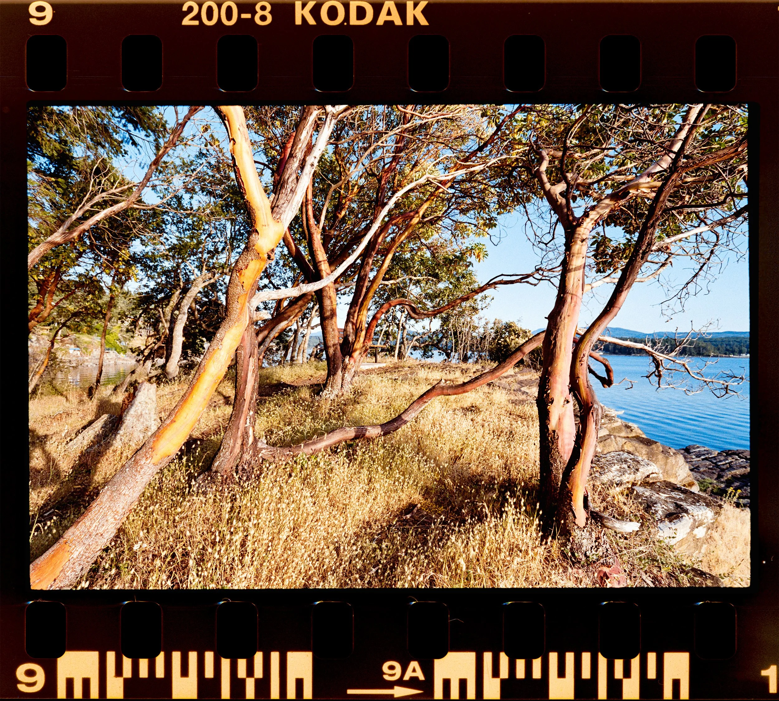 RFerand_C113-Elan7-ColorPlus_17-Beachcombers-HD.jpg