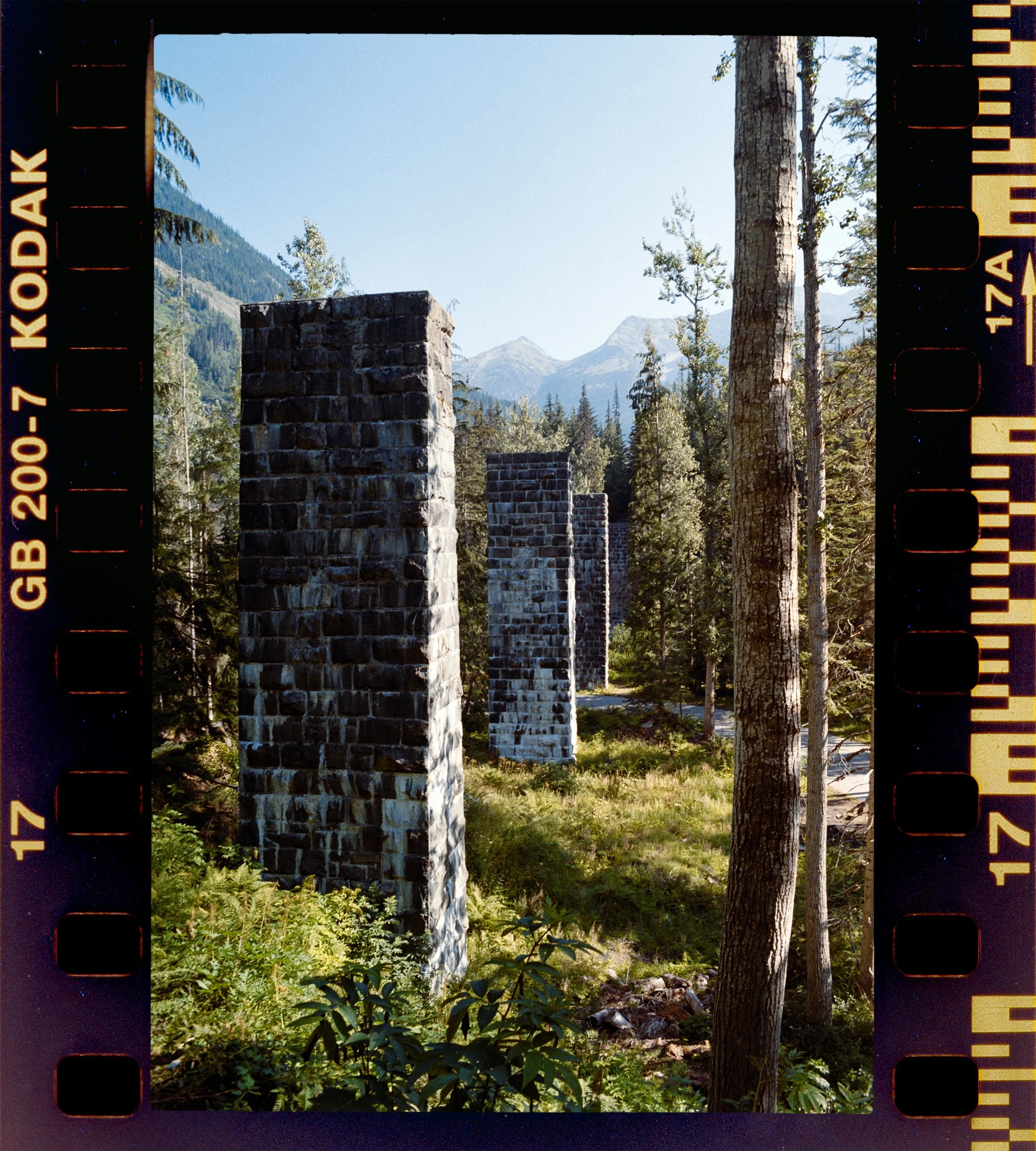 RFerand_C49_F3T_Gold200_IMG_0083_PS-Brook Loop Trail-HD.jpg