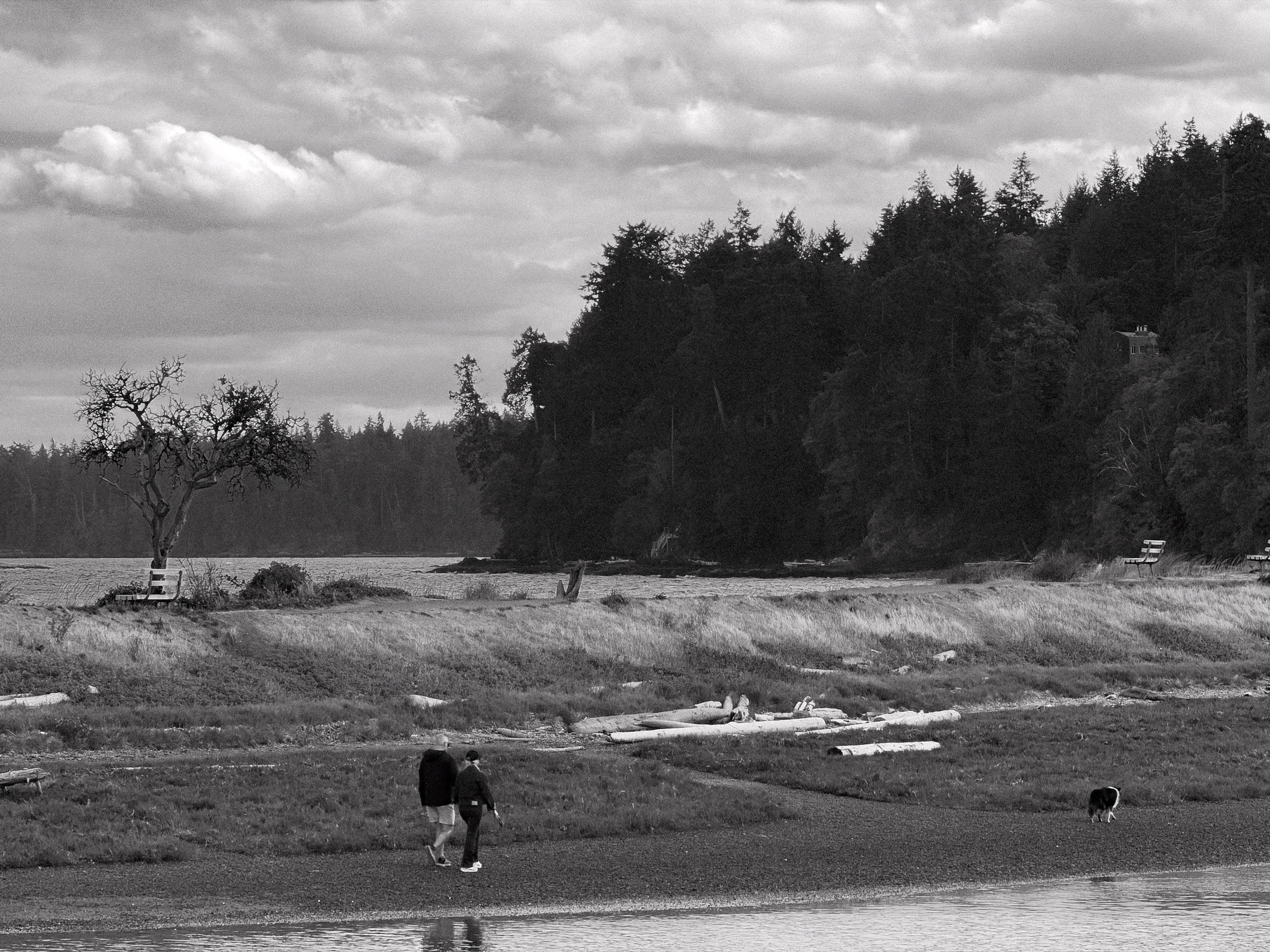 260901-RF-C1-4062-Pipers Lagoon-SD.jpg