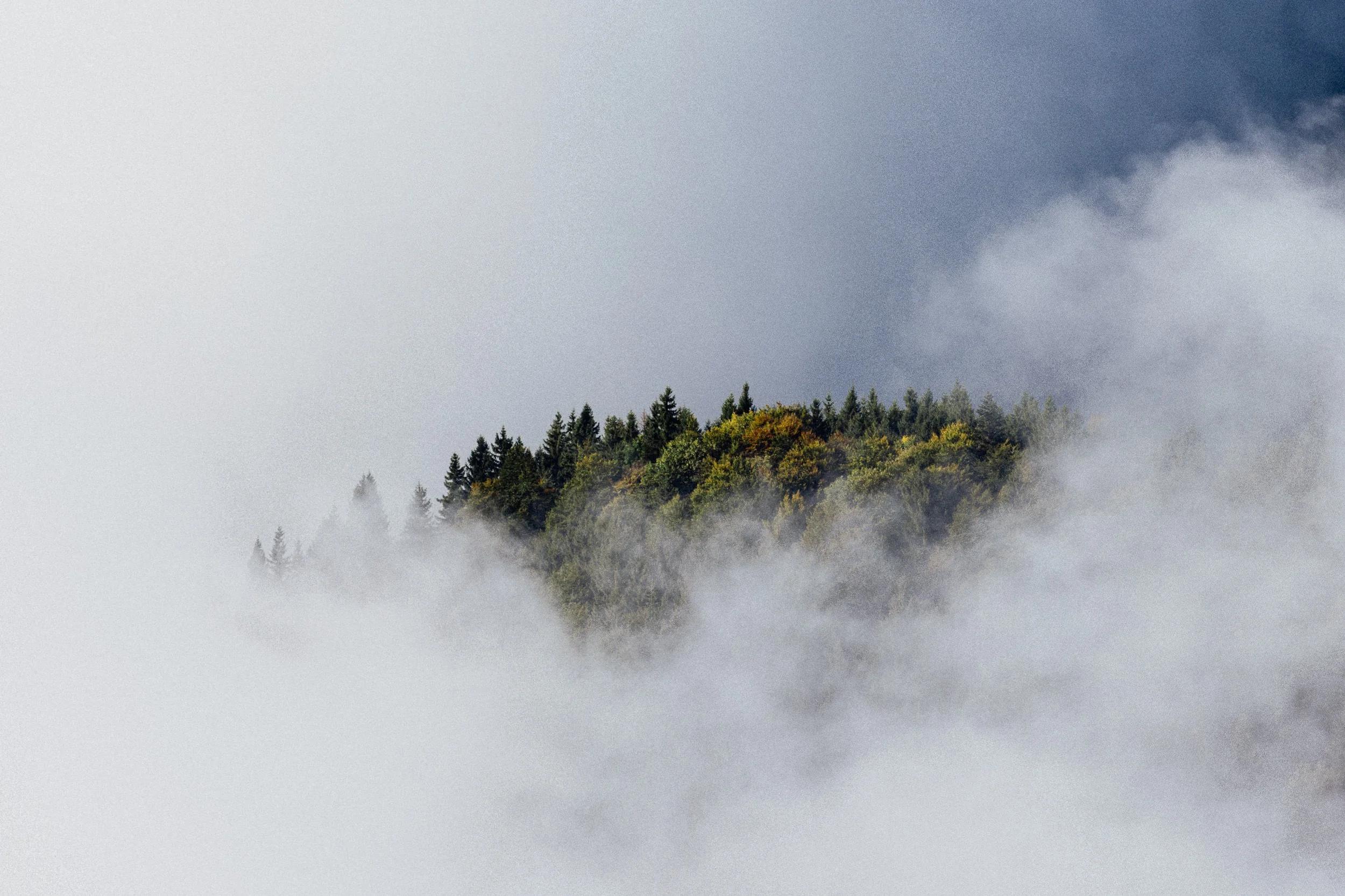 RFerand_20250927_R5_2893_Petit Bornand_SD_WEB.jpg