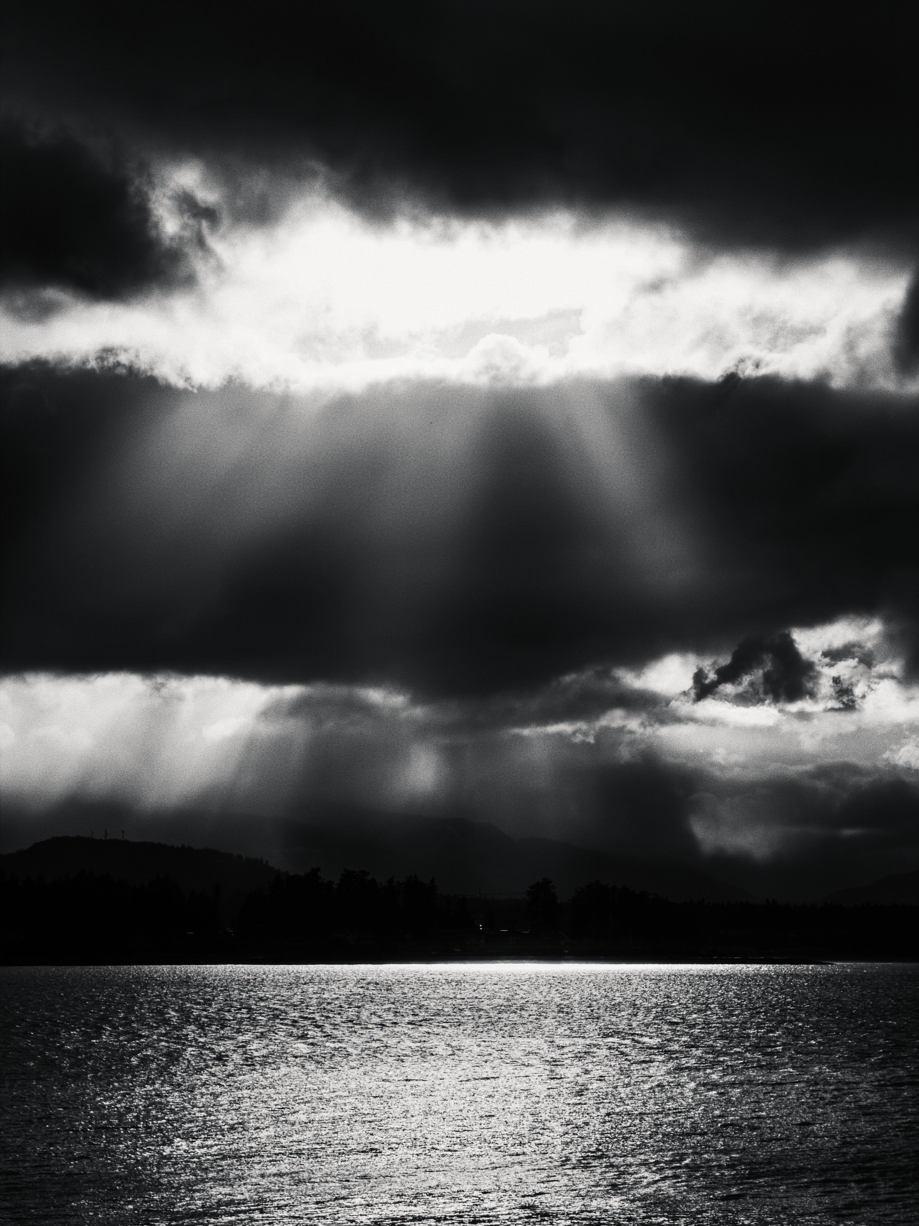 260326-RF-B1-2958-Edit-Cottam-Point-Nanoose-SD.jpg