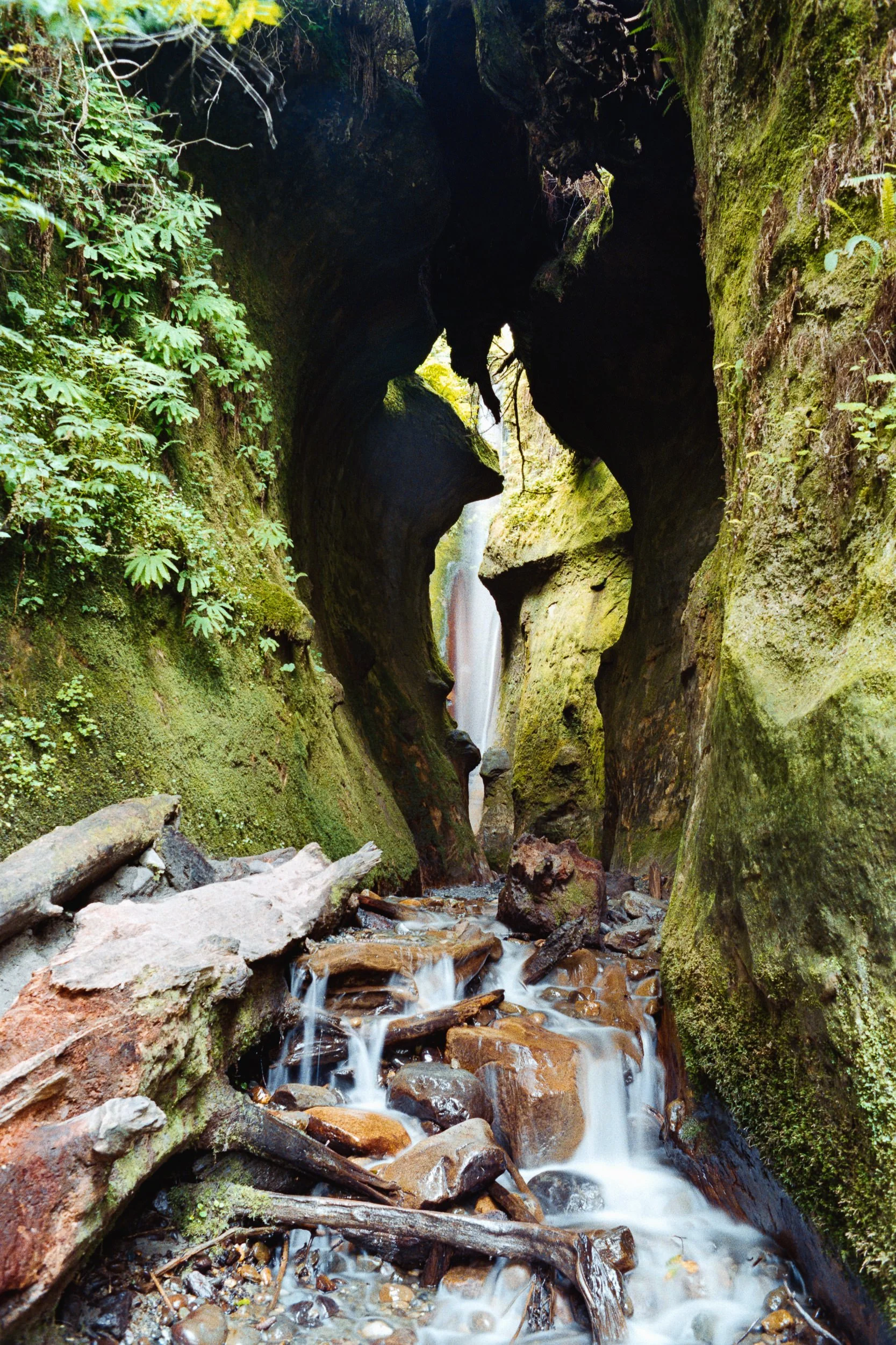 RFerand_C112-F3T-Superia200_17_Sombrio Beach_SD_WEB.jpg
