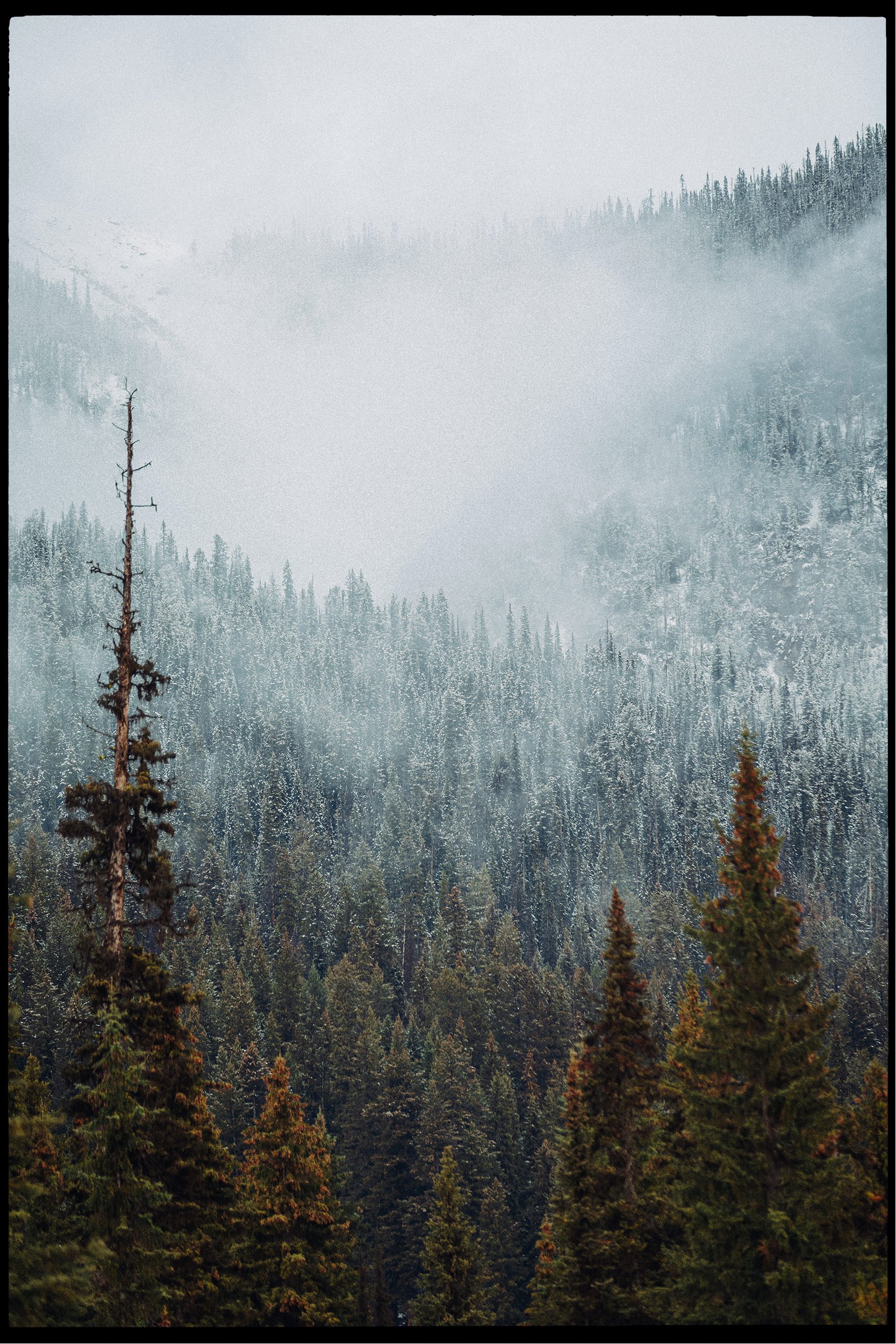 RFerand-20181030__RF_0653-DNG_DxO-Emerald Lake-HD.jpg