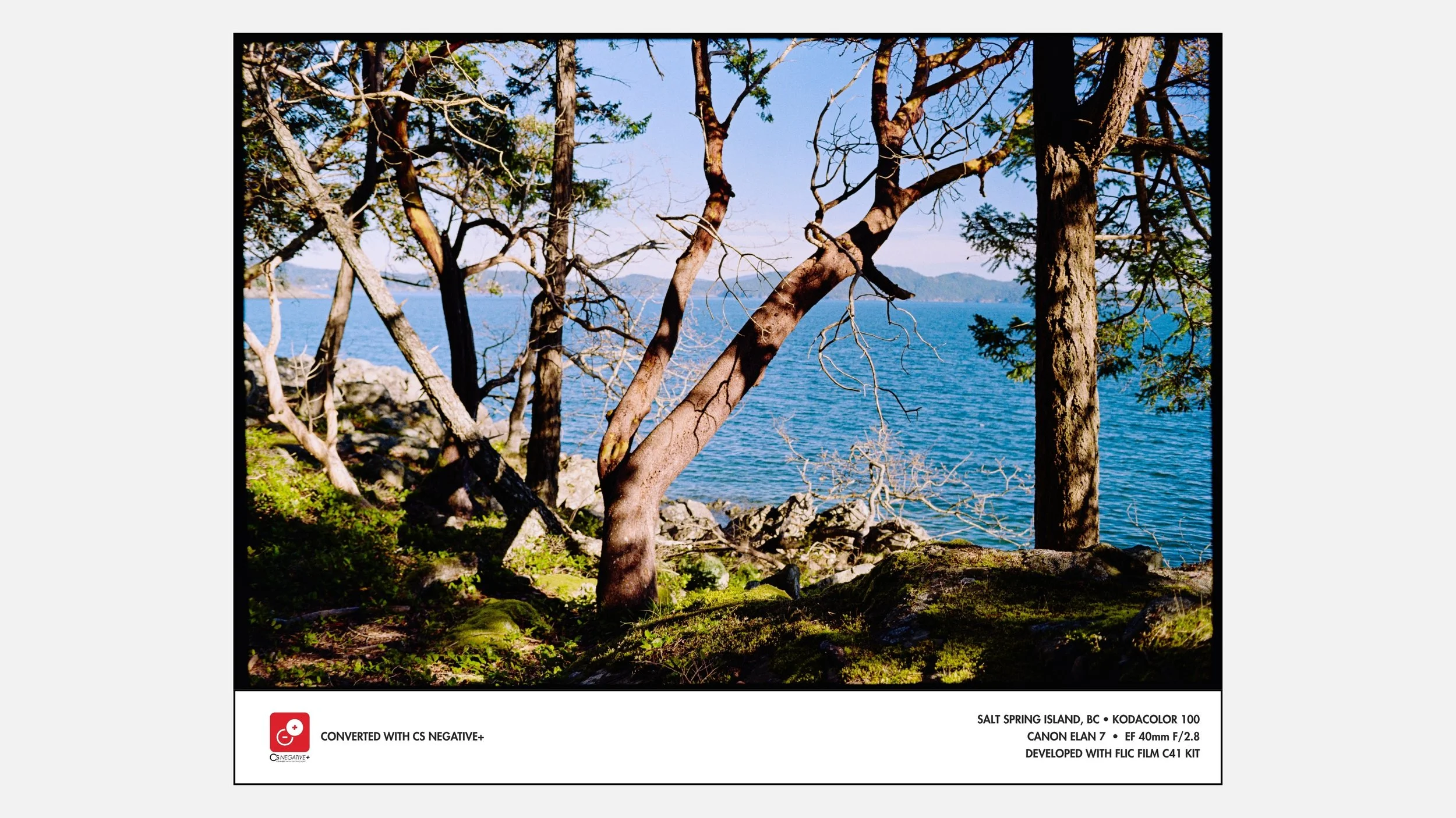 260502-CS-Negative-Review-00007.jpg