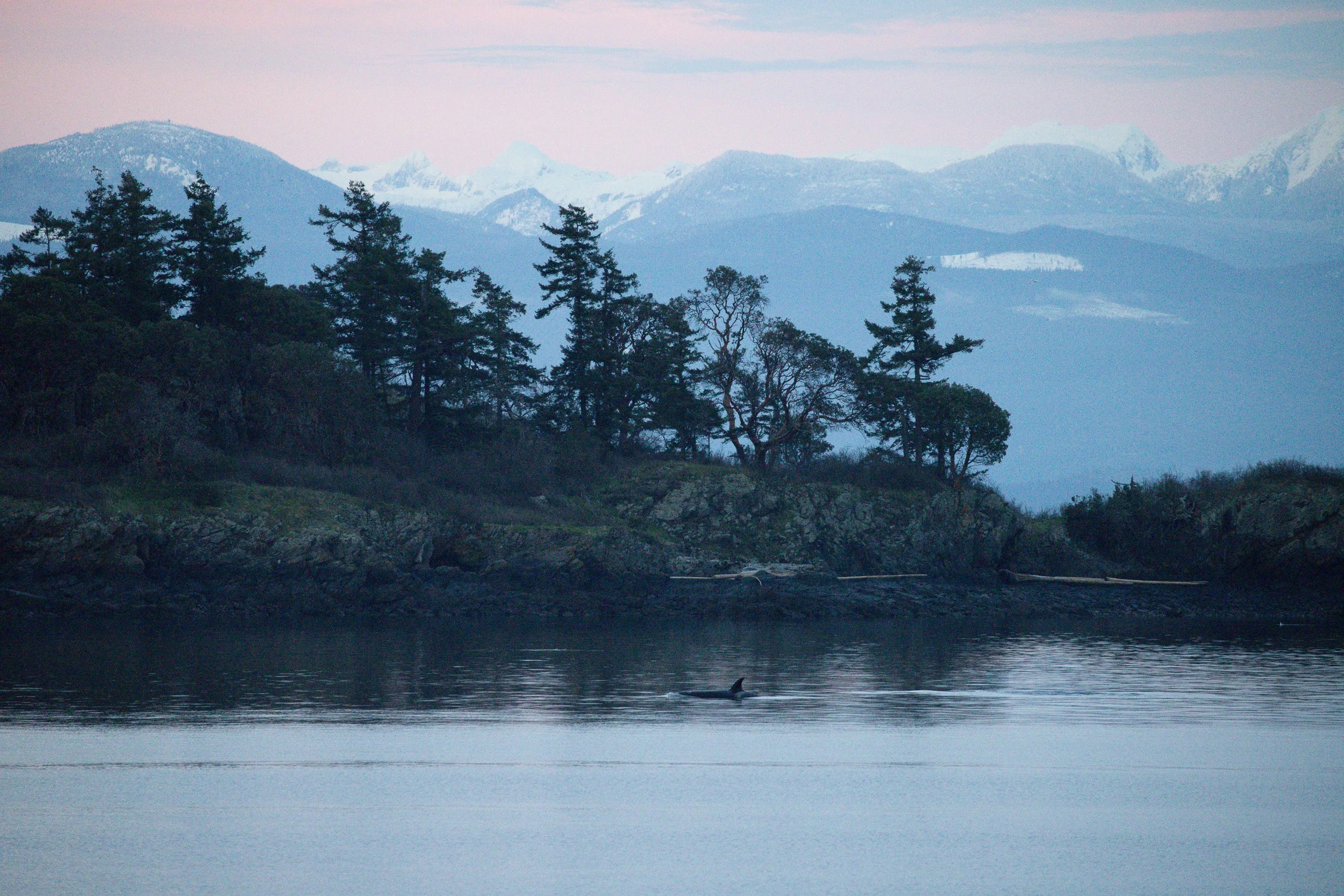 251229_RF_A1_Canon EOS R5 C_3693--SD.jpg