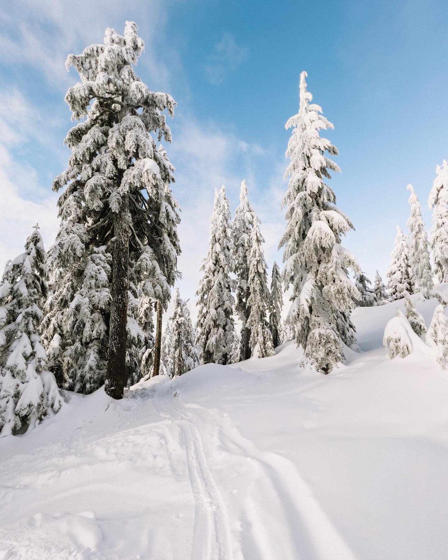 Remembering this powder day at Mt Seymour Resort. 

#mtseymour #wintersolstice #powderday #shotoniphone #britishcolumbia