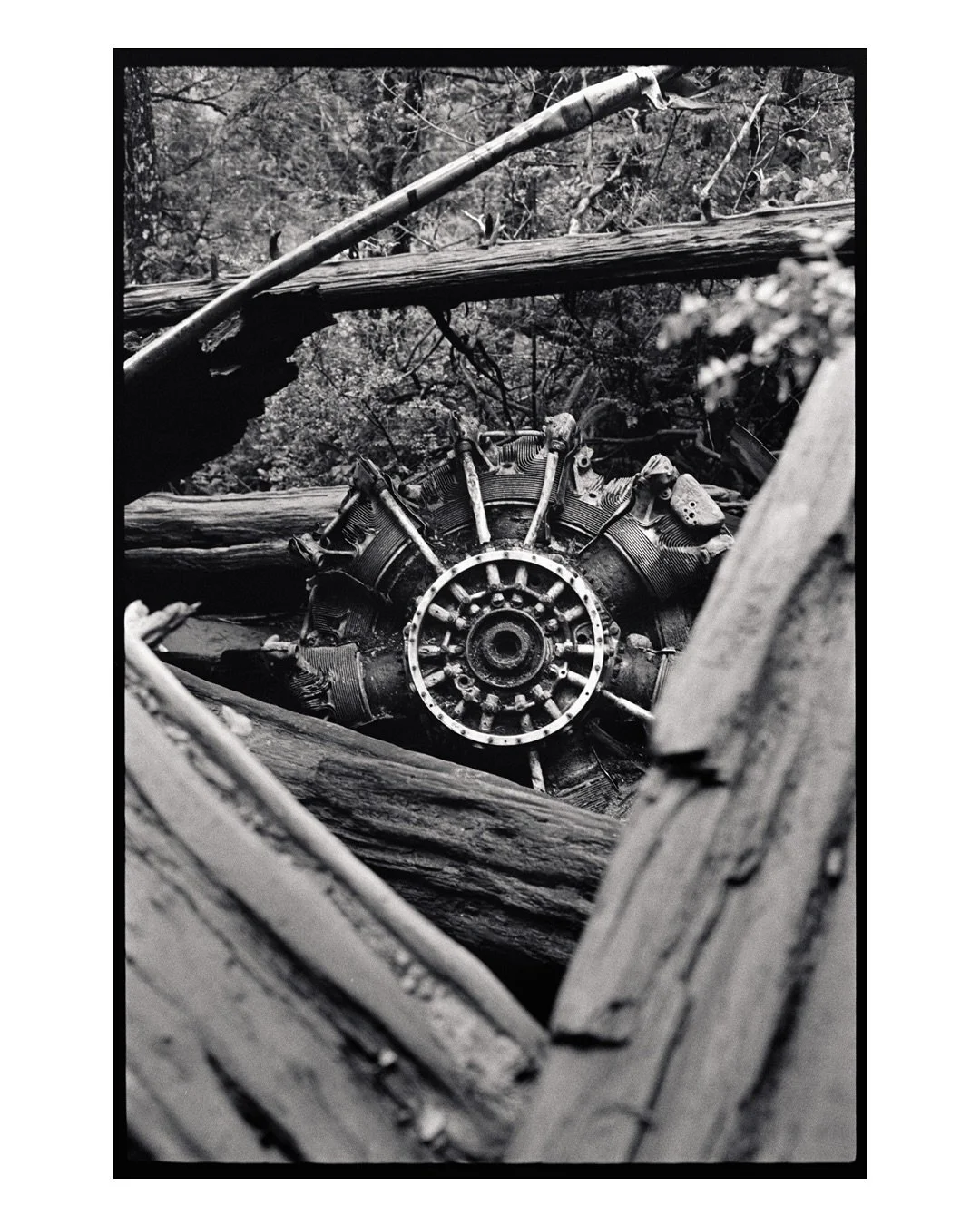 Kodak Tri-X 400 has a unique way of rendering gritty scenes.
📷Camera: Minolta SRT-101
🎥Lenses: Rokkor 28mm & 58mm
🎞️Film: Kodak Tri-X 400 I #35mm
🧪Lab: Home developed with Ilfotec DD-X
🔘Filter: Orange
🖼️Print: Baryta Selenium
#minoltasrt1