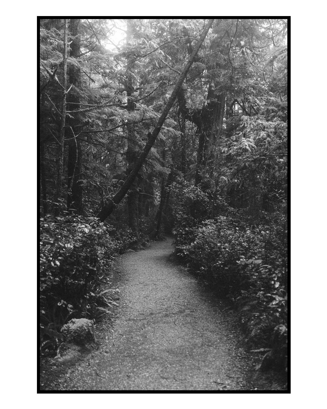 A few rainy days on the West Coast of Vancouver Island between Tofino and Ucluelet, BC.
📷Camera: Canon R5C
🎥Lens: RF 24-78 f/2.8 IS L
#WildPacificTrail #myucluelet #vancouverisland #ExploreVancouverIsland
#stademagazine #pnwphotography #britishco