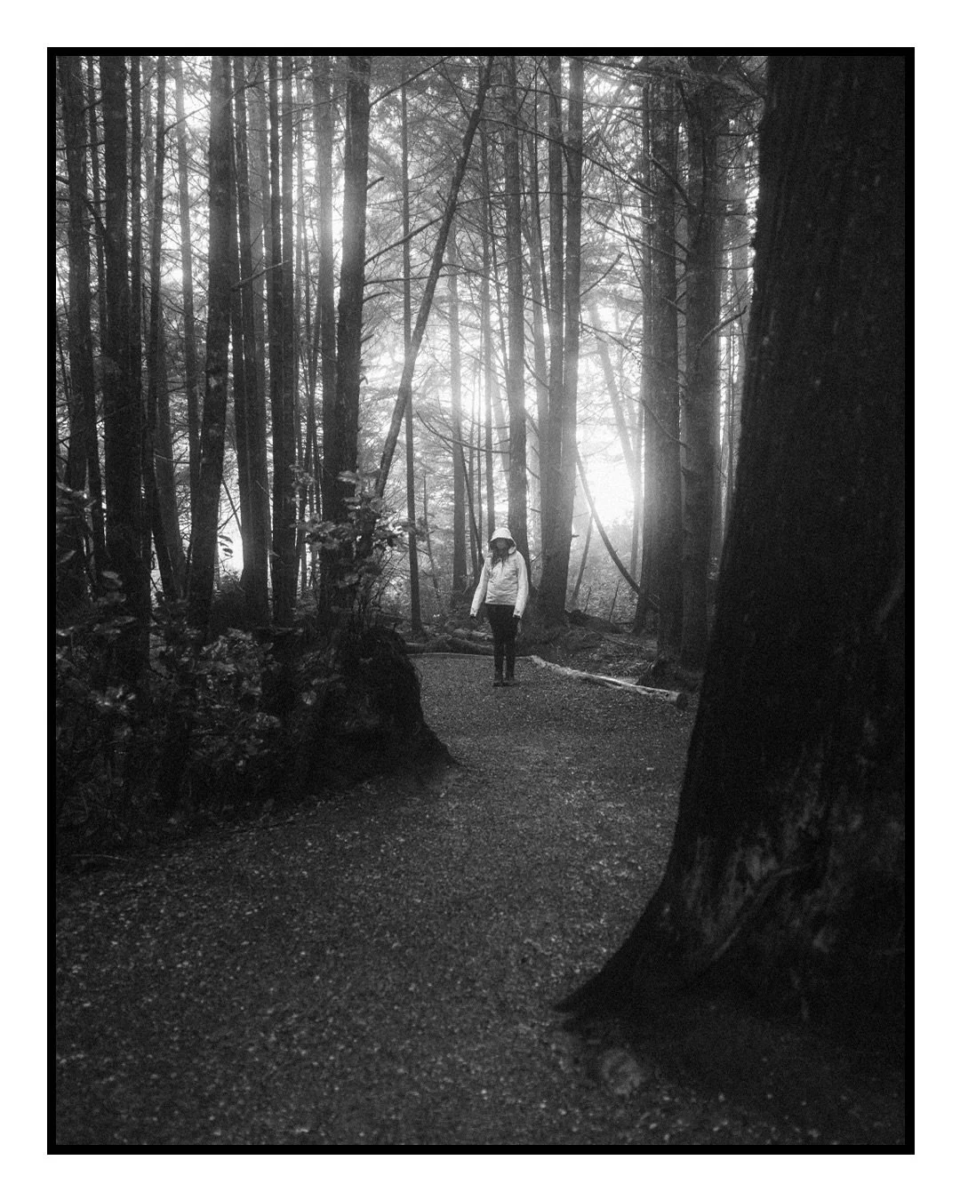 Even in wind and rain, the Wild Pacific Trail is always worth the walk.
Ucluelet, BC
📷Camera: Canon R5C
🎥Lens: RF 24-78 f/2.8 IS L
#pacificrimnationalpark #tofino #myucluelet #vancouverisland #ExploreVancouverIsland
#stademagazine #pnwphotography