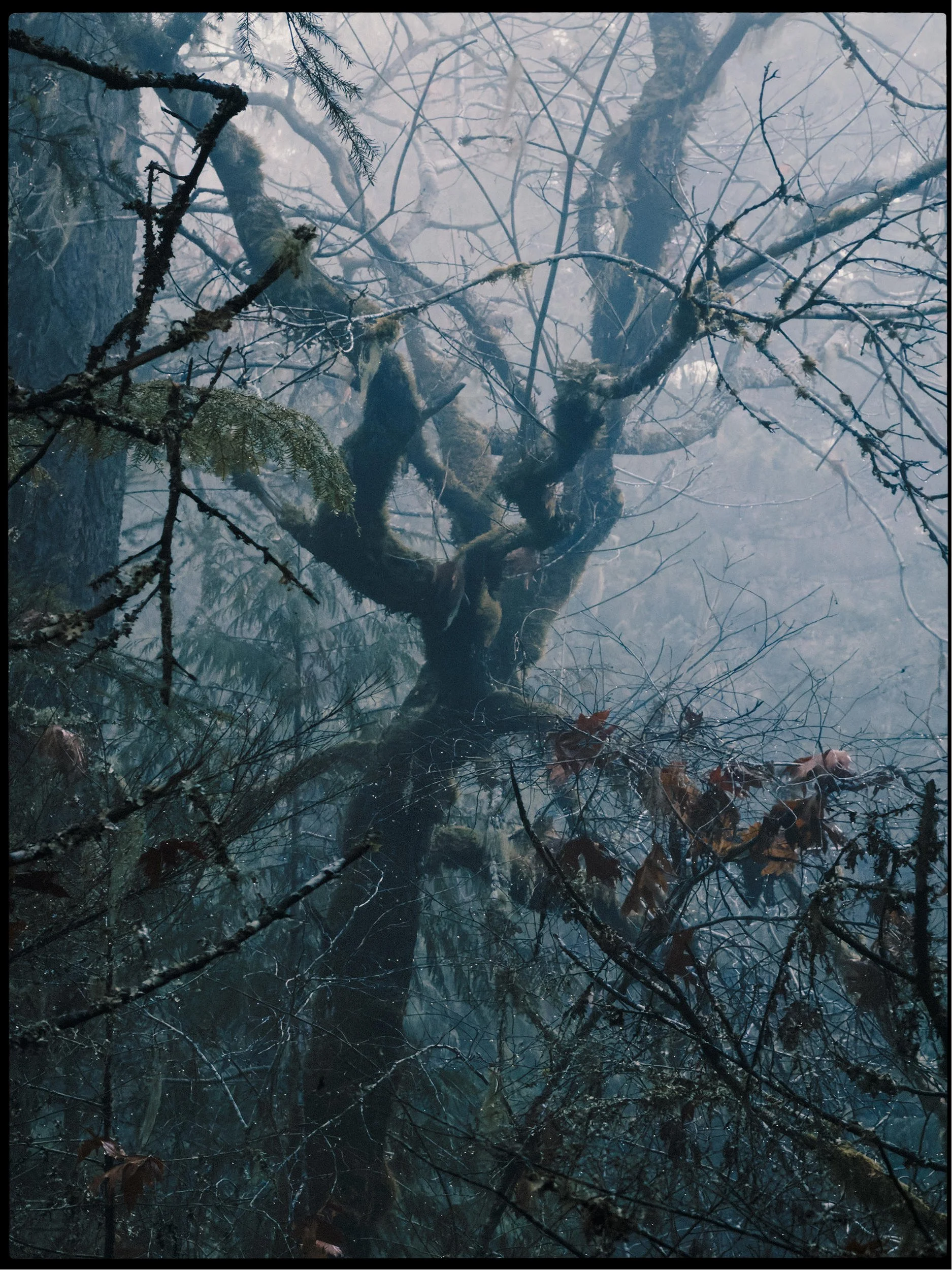 251207_RF_A1_iPhone 17 Pro_0770-Nanaimo River Canyon-HD.jpg
