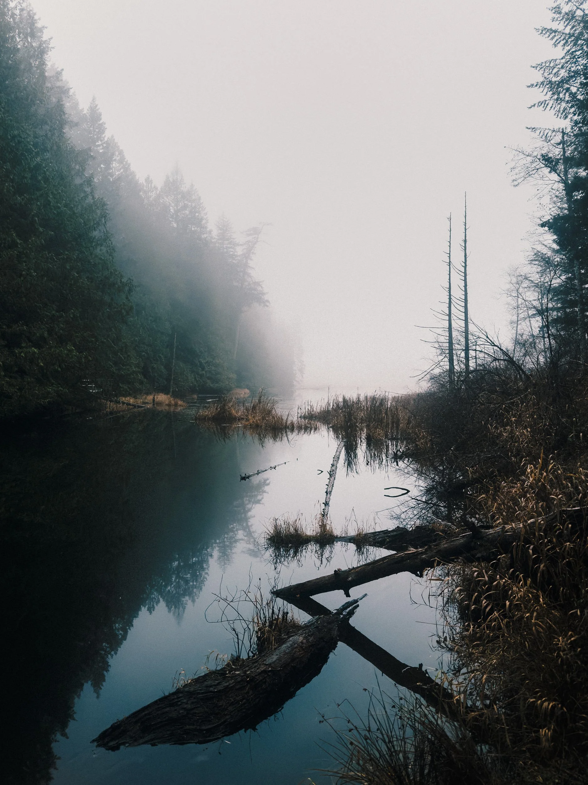 251212_RF_A1_iPhone 17 Pro_0933_Linley Valley_SD_WEB.jpg