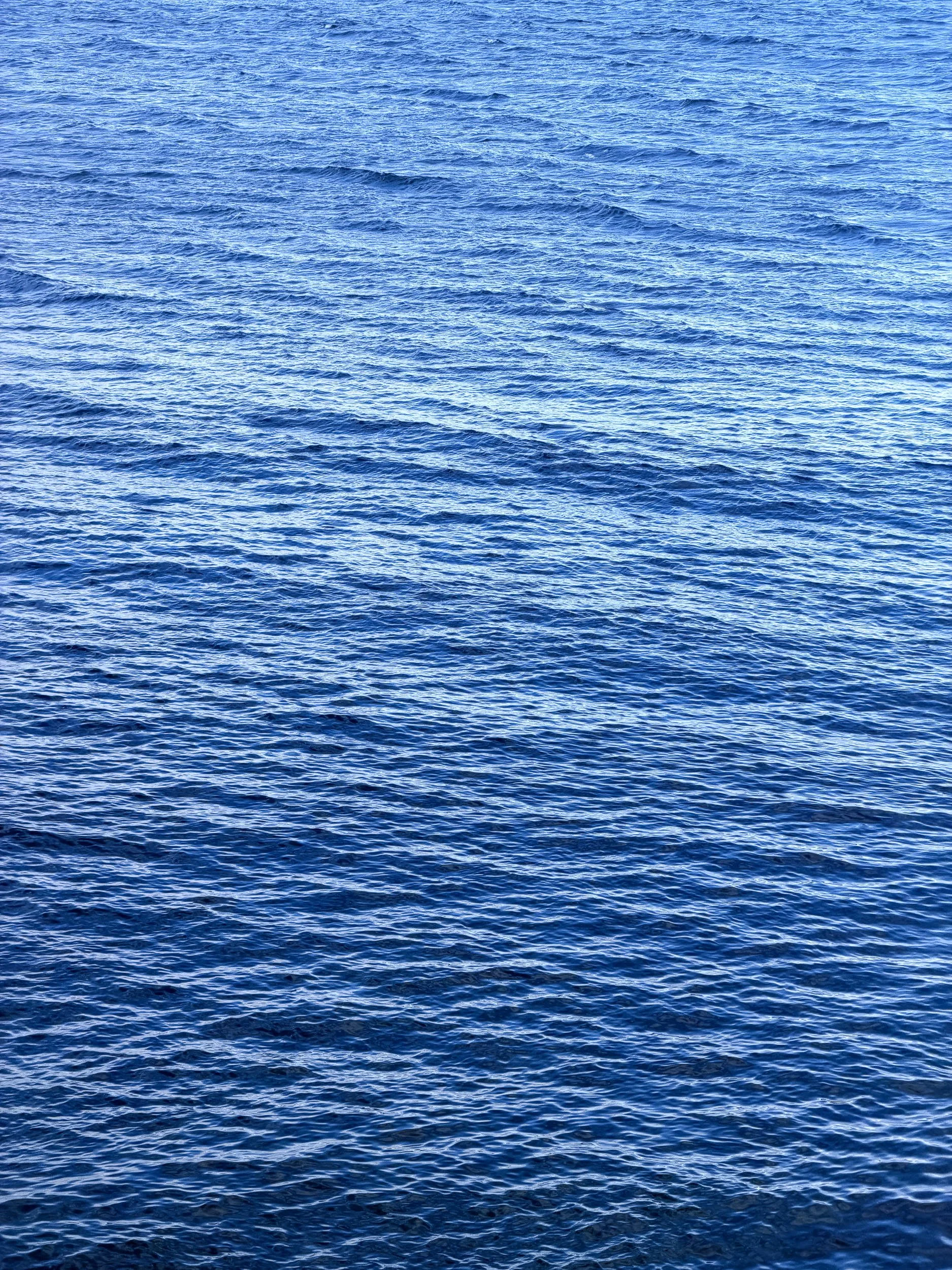 260901-RF-C1-4039-Pipers Lagoon-SD.jpg