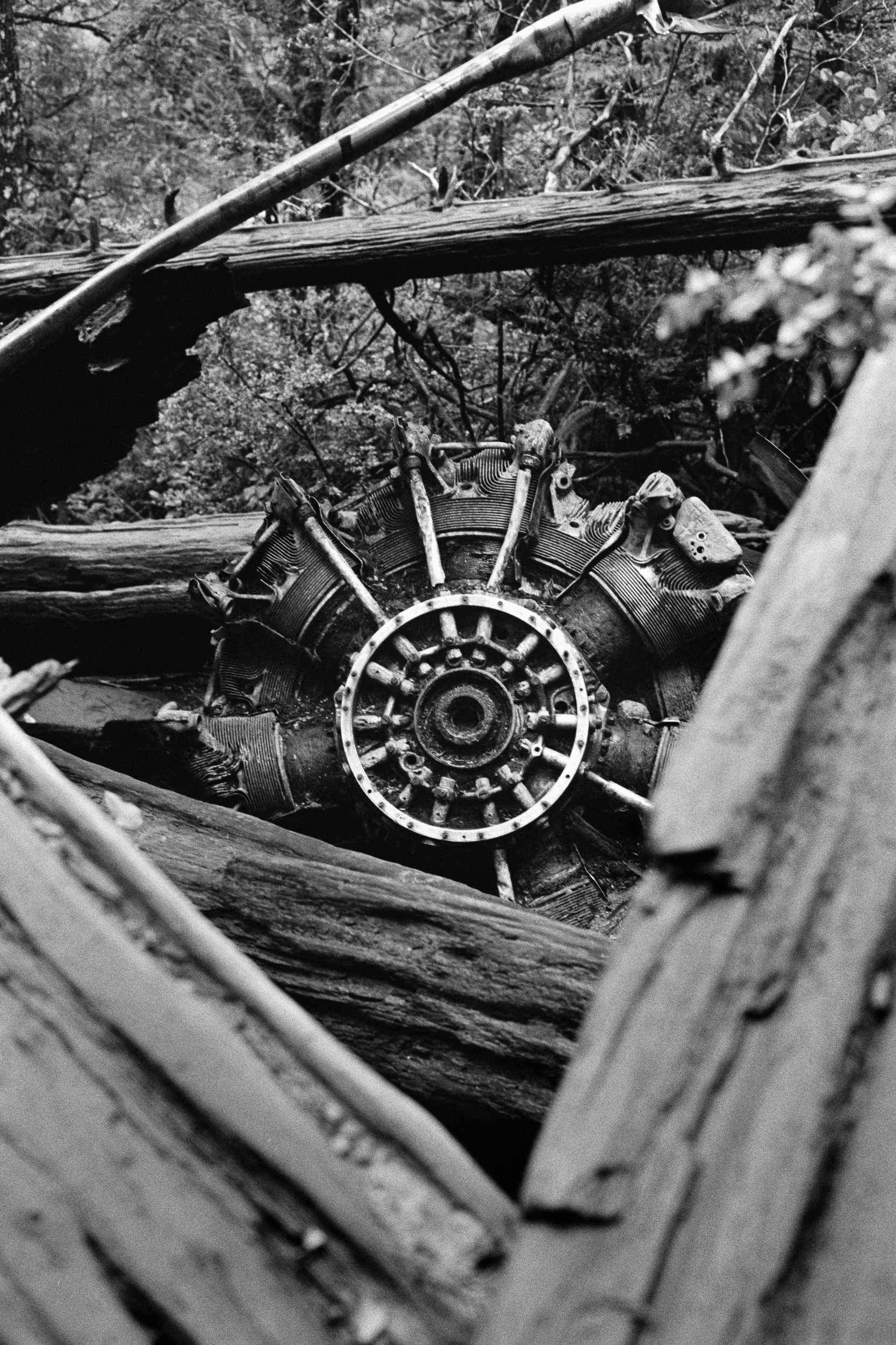 RFerand_BnW71_SRT-101_Tri-X400_30_Radar Hill, Tofino_SD_WEB.jpg