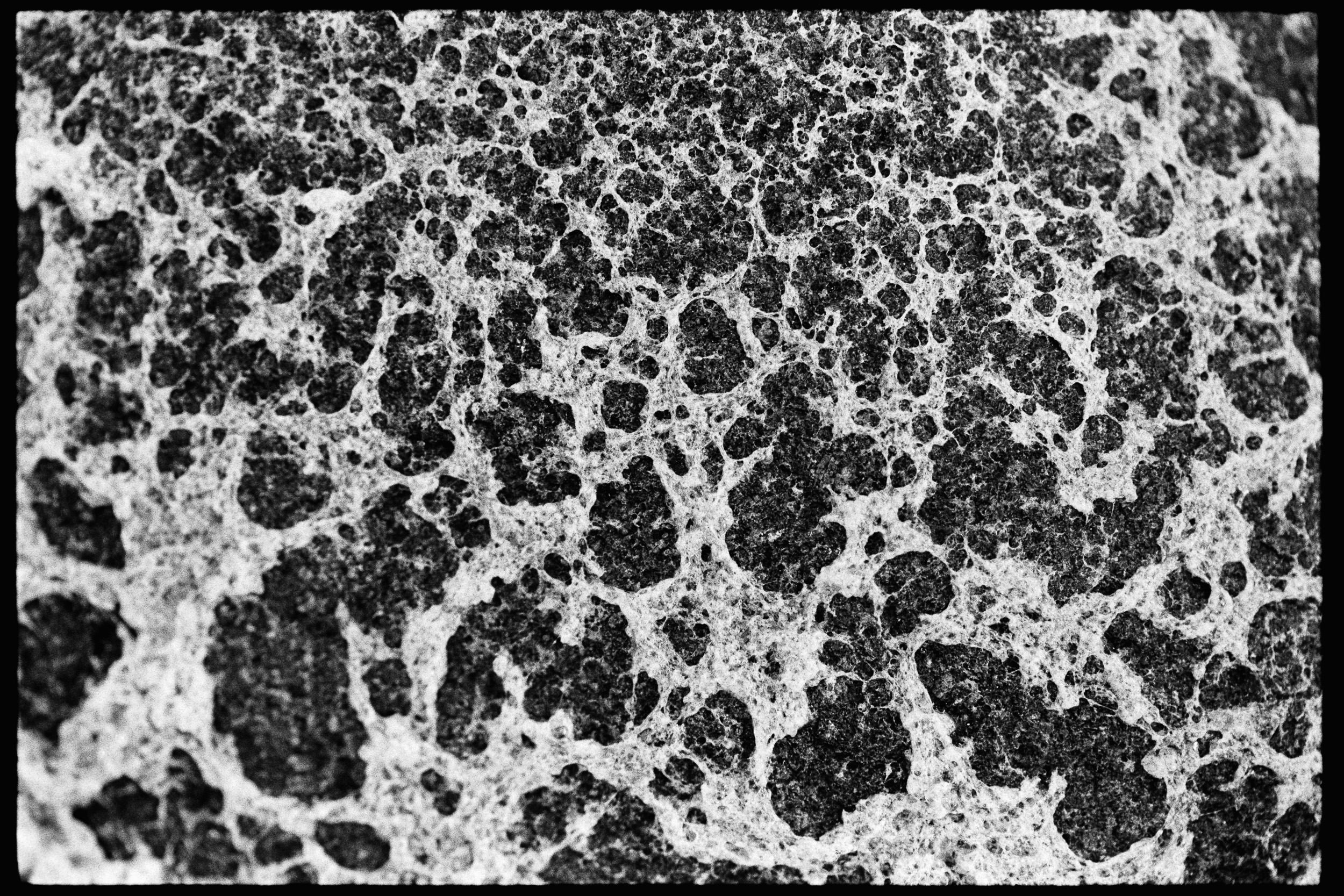 RFerand_BnW73_Elan7_HP5_18-Herring Spawn - Bowser-SD.jpg
