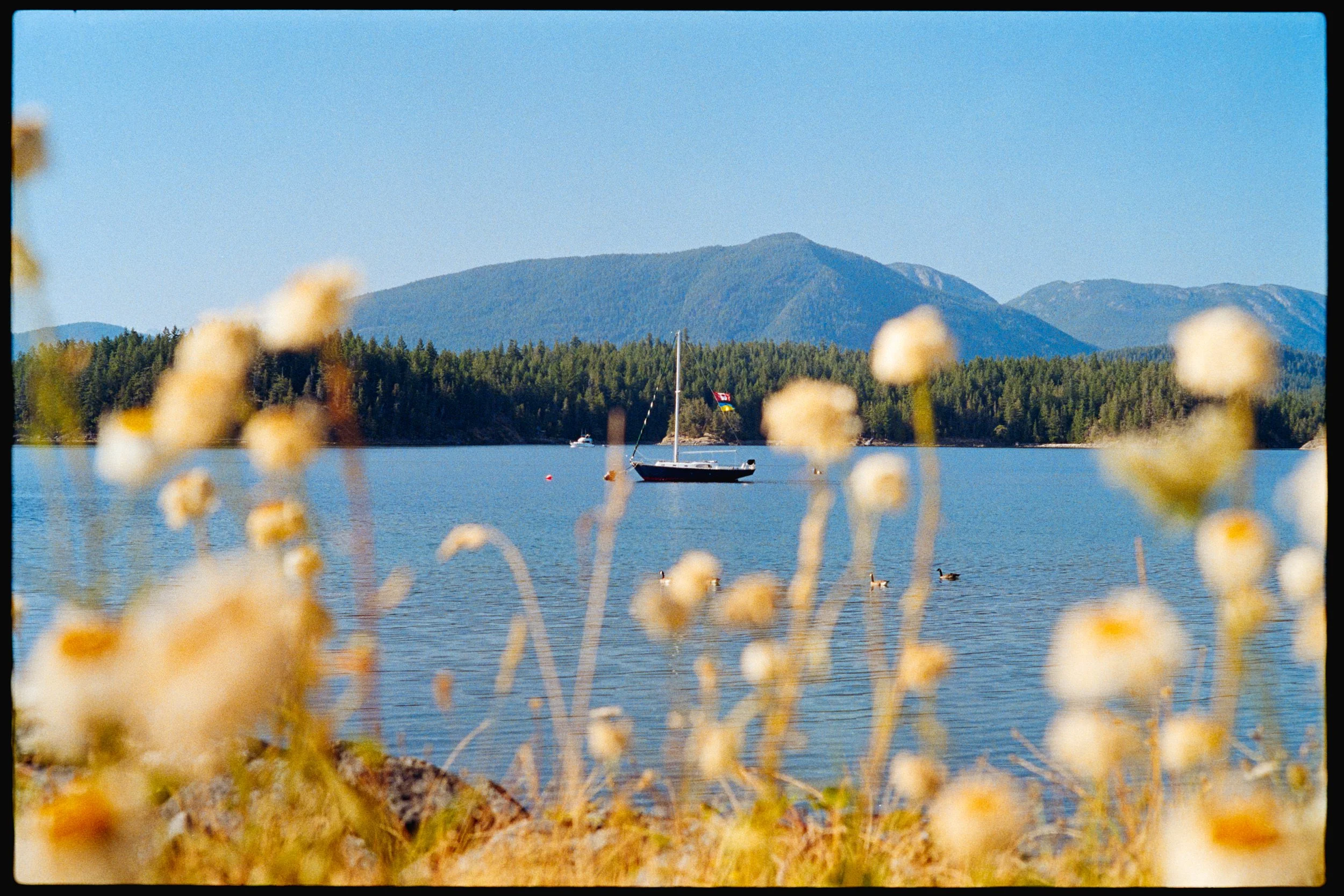 RFerand_C117_SRT101_Aurora400_16-Cortes Island-SD.jpg