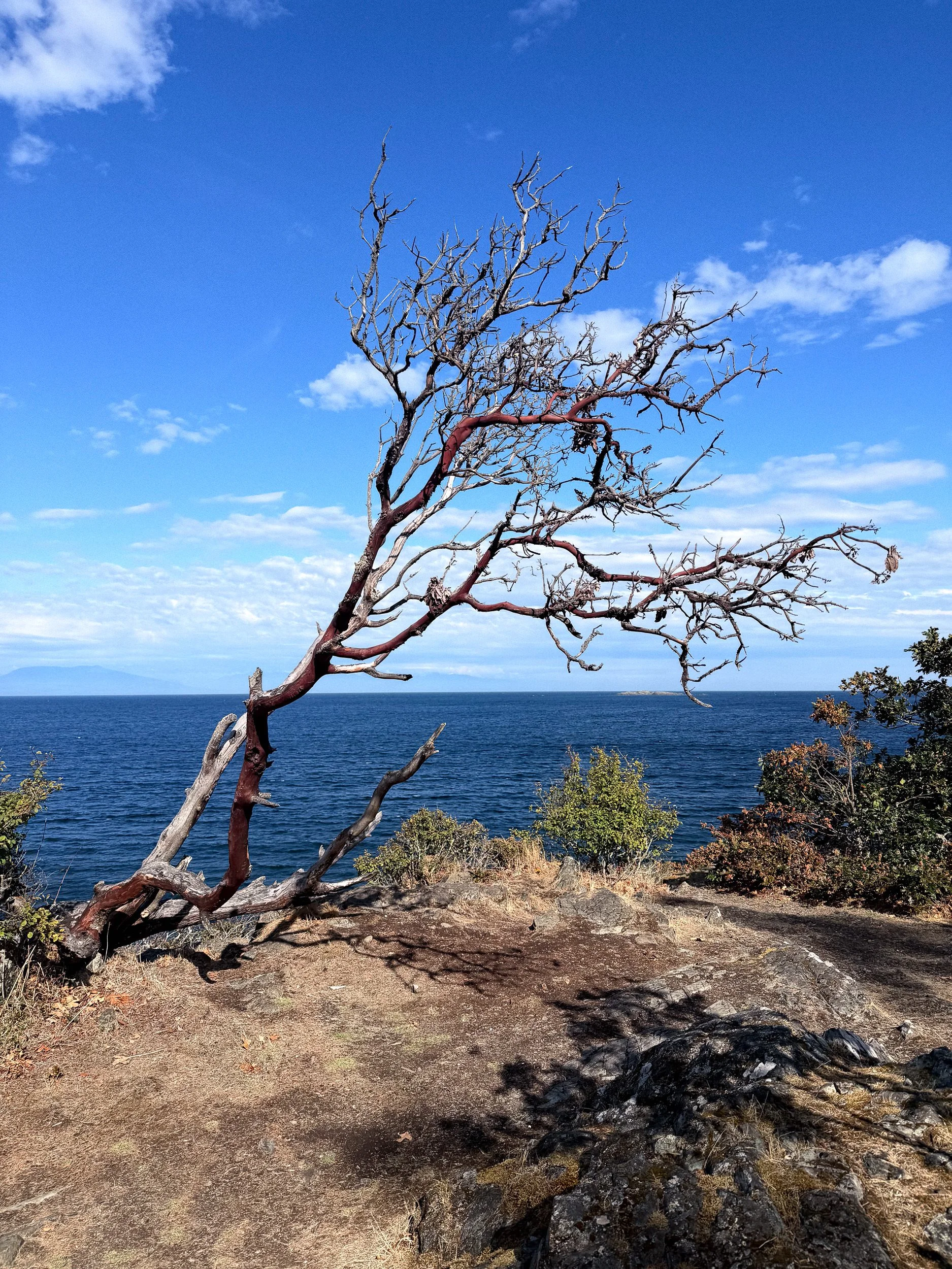 260901-RF-C1-4020-Pipers Lagoon-SD.jpg
