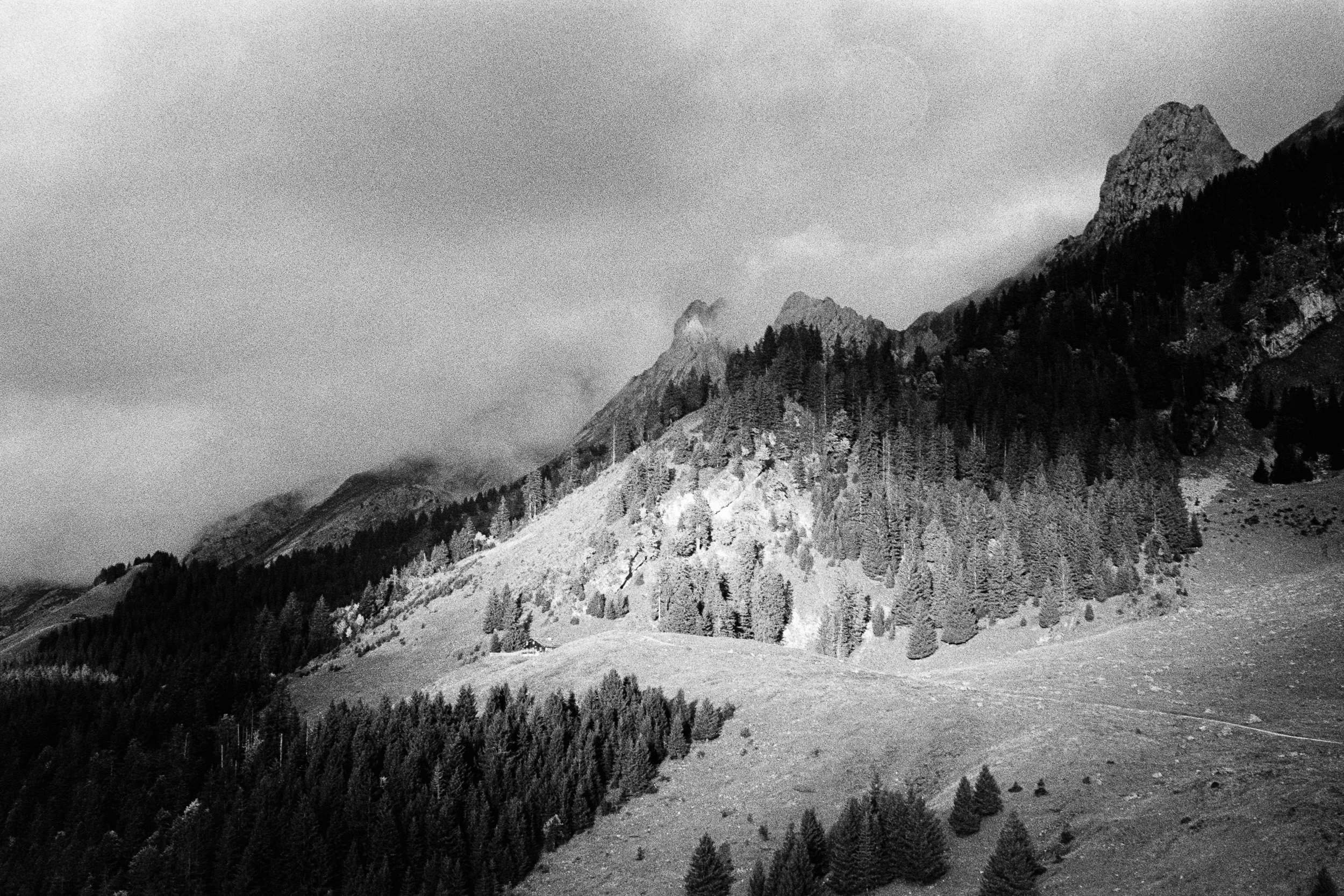 BnW82_SRT101_Pan400(800)_26_Les Confins_SD_WEB.jpg