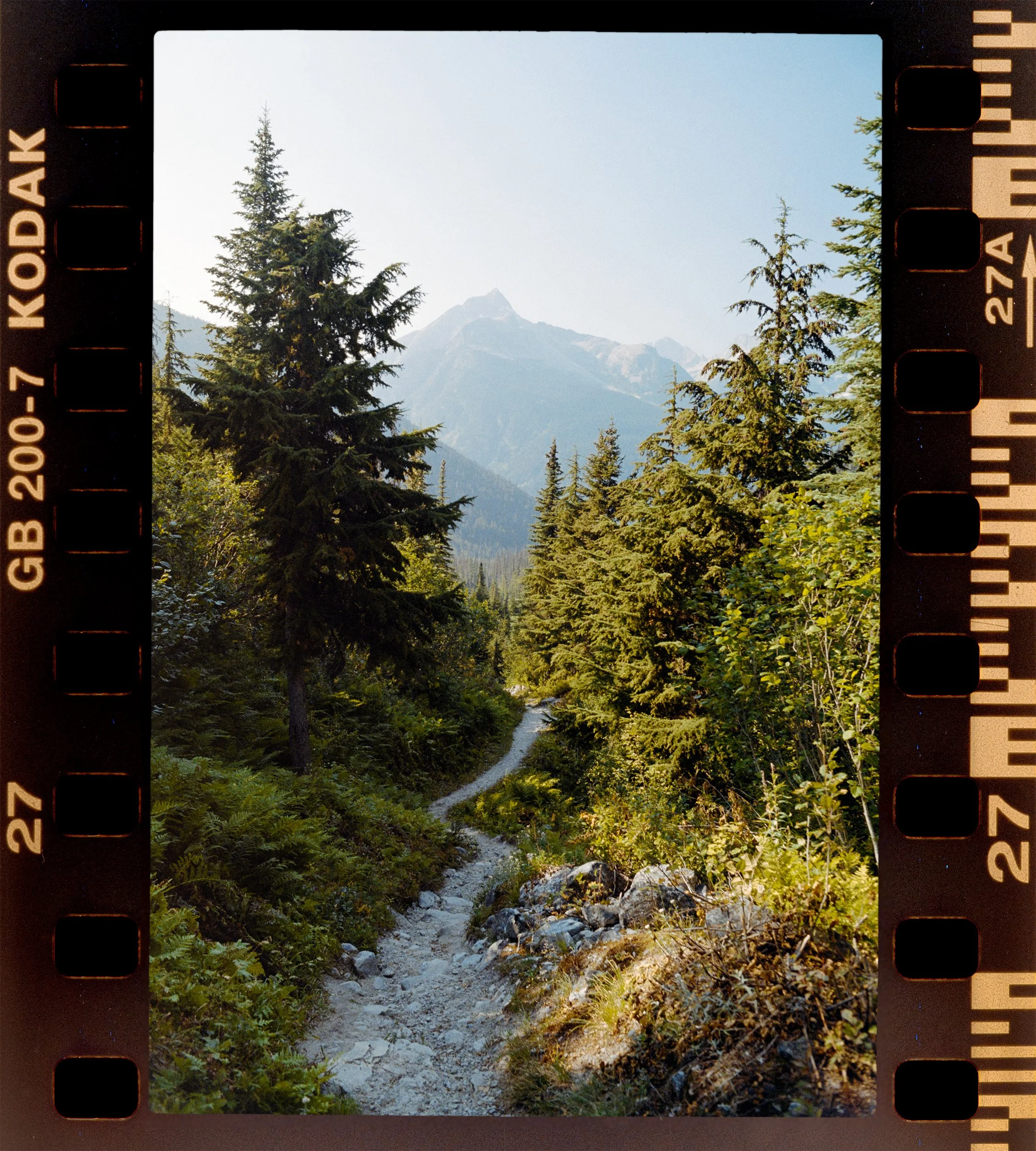 RFerand_C50_F3T_Gold200_IMG_0115_PS-Great Glacier Trail-HD.jpg