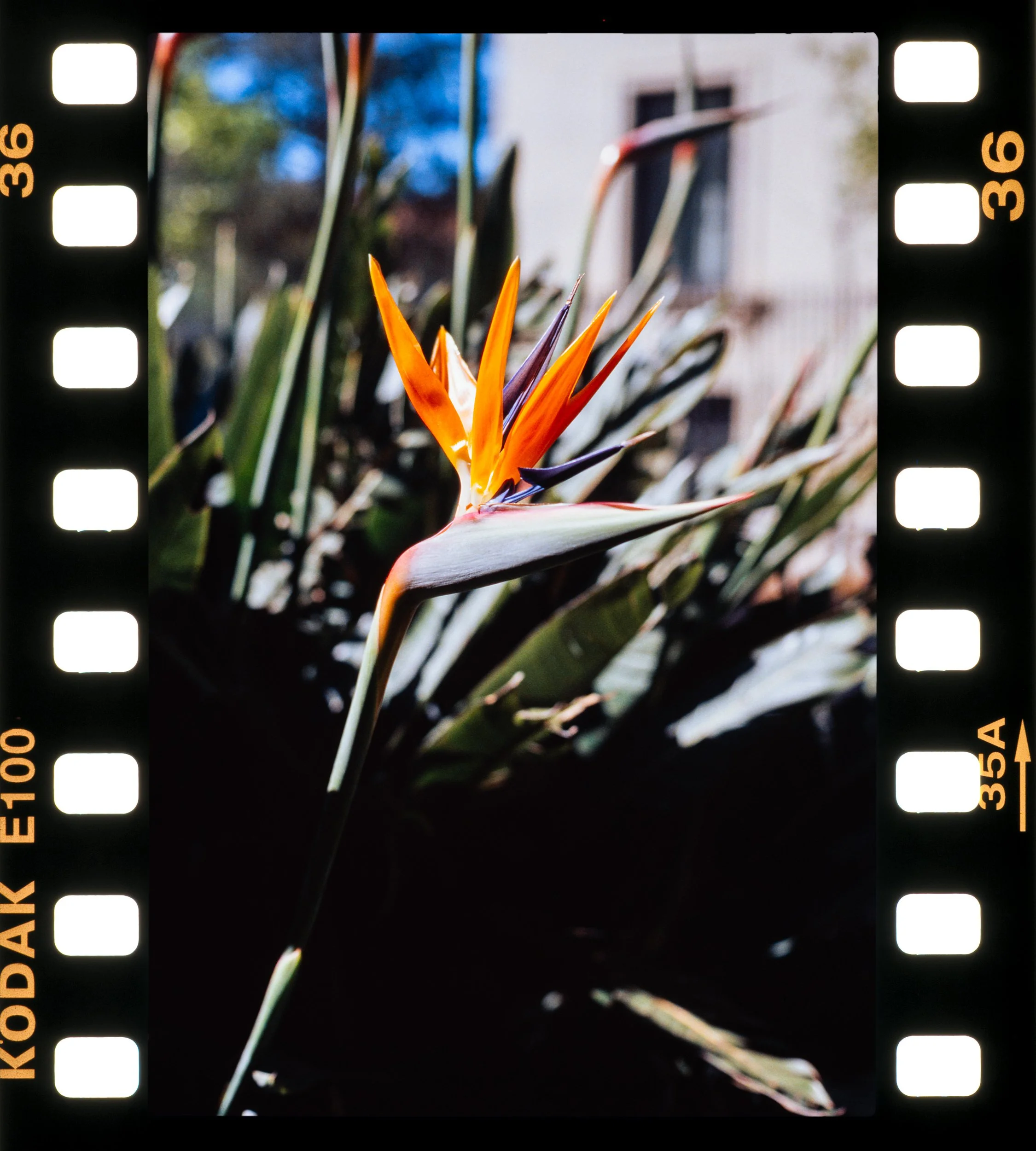 RFerand_C61_F3T_E100_16-Hyères-HD.jpg