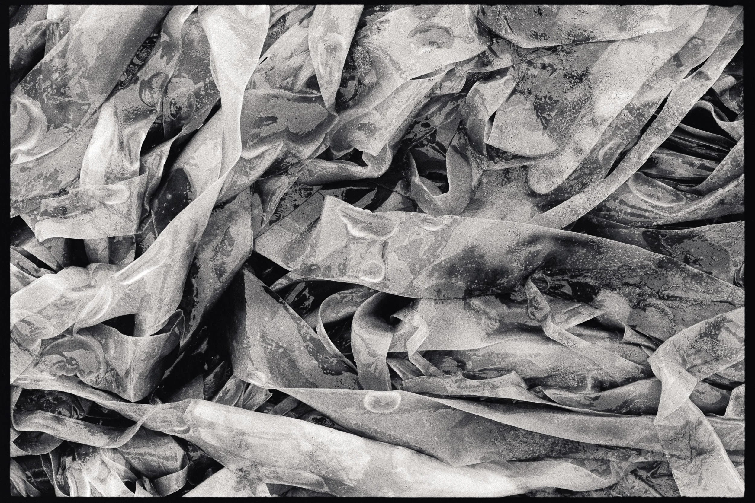 RFerand_BnW78_Elan7_HP5(800)_01-Chesterman Beach, Tofino-SD.jpg
