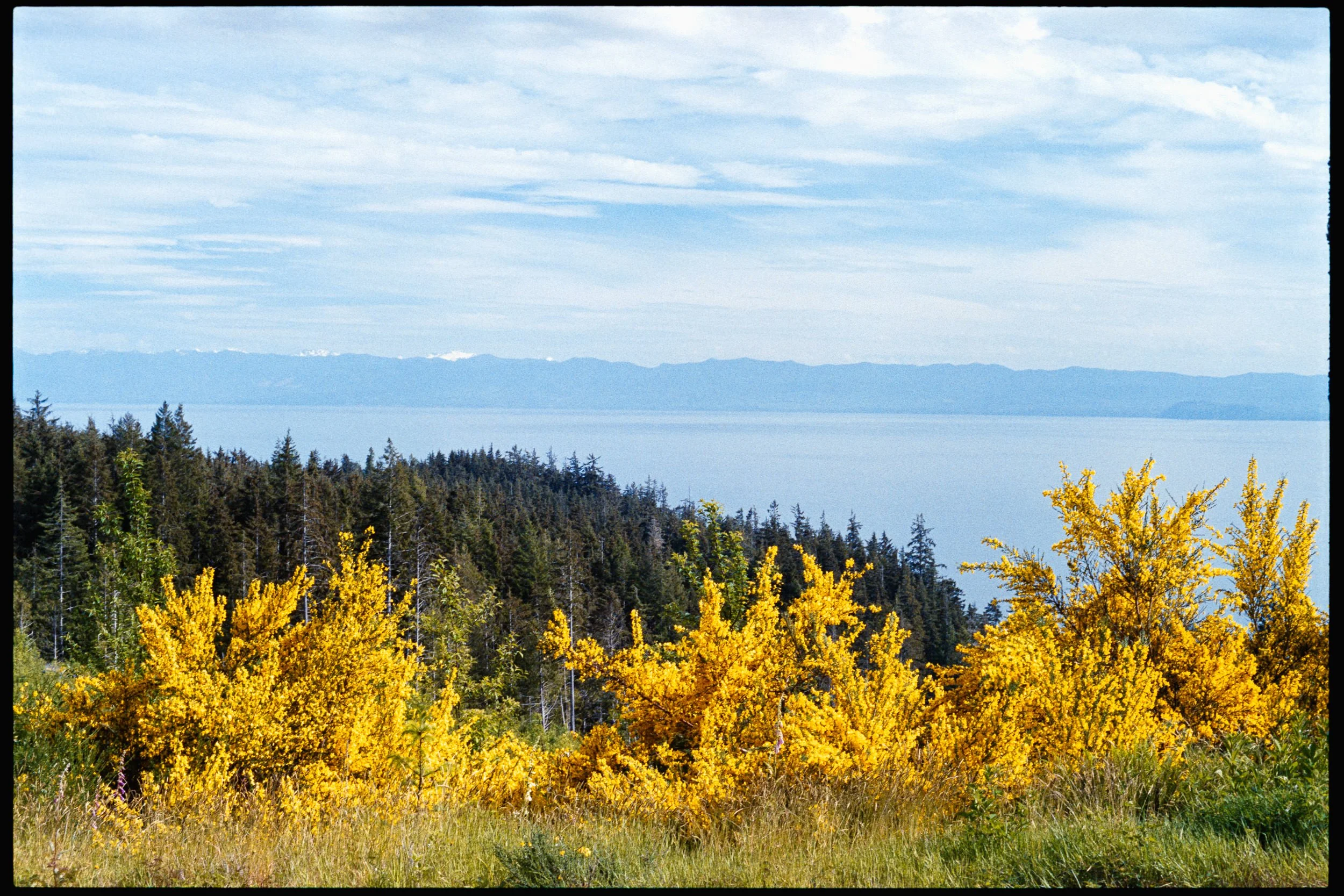 RFerand_C112-F3T-Superia200_12_Jordan River_SD_WEB.jpg