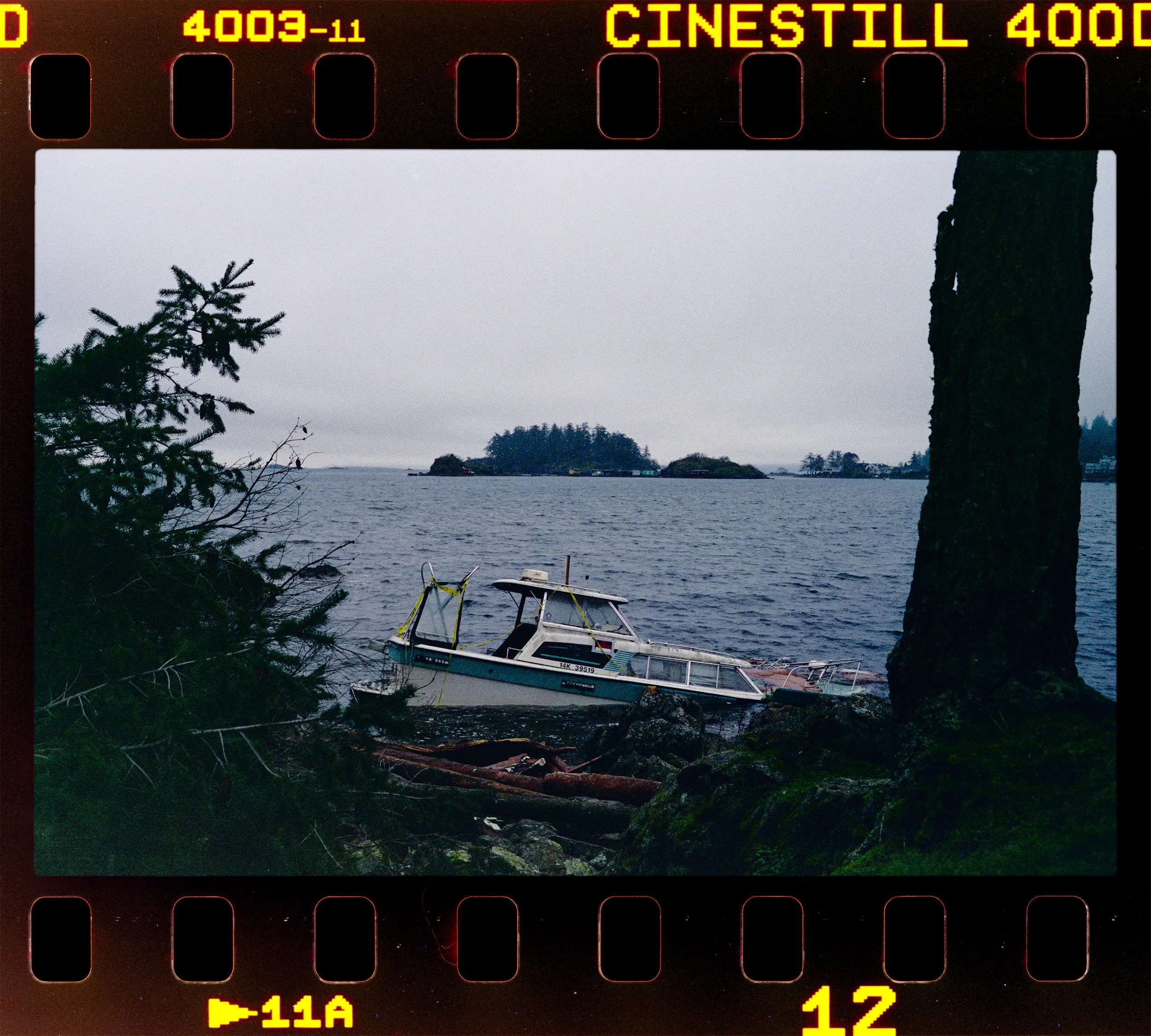 C132_Elan7_CS-400D_1600ISO_13-Neck Point-HD.jpg