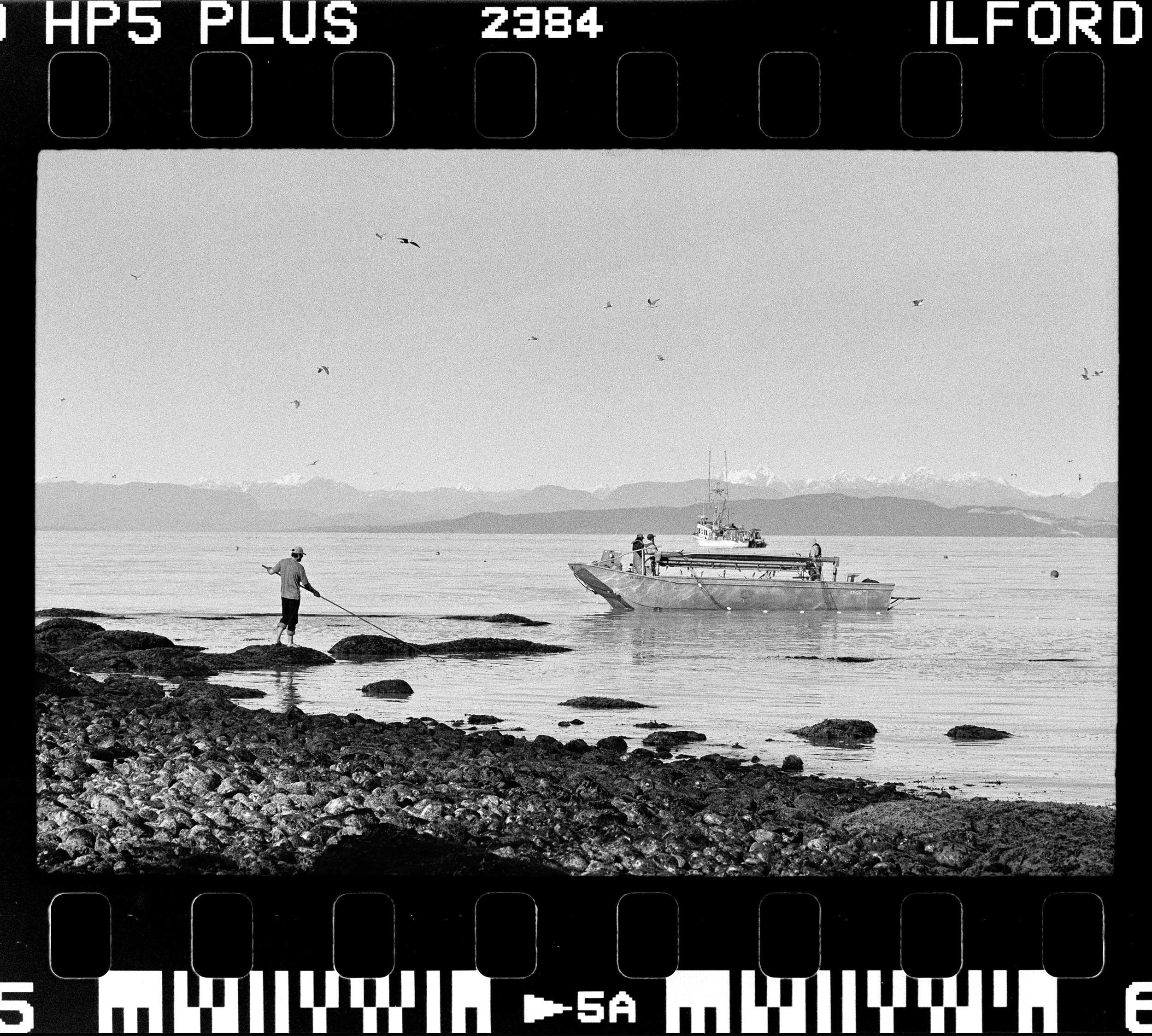 RFerand_BnW72_Elan7_HP5_21-Herring Spawn at Denman Strait-HD.jpg