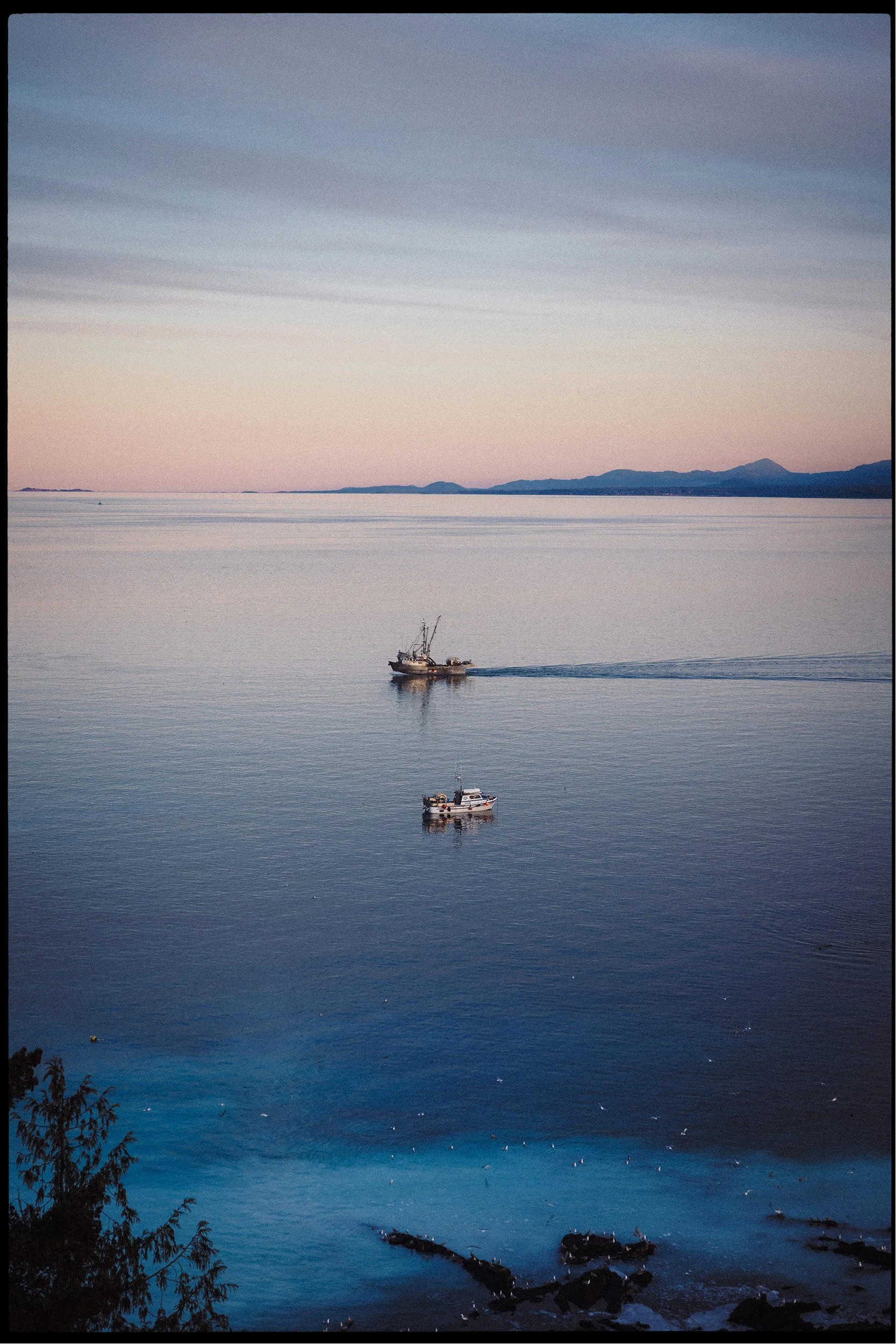 RFerand_20250306_R5_7616-Denman Island-HD.jpg