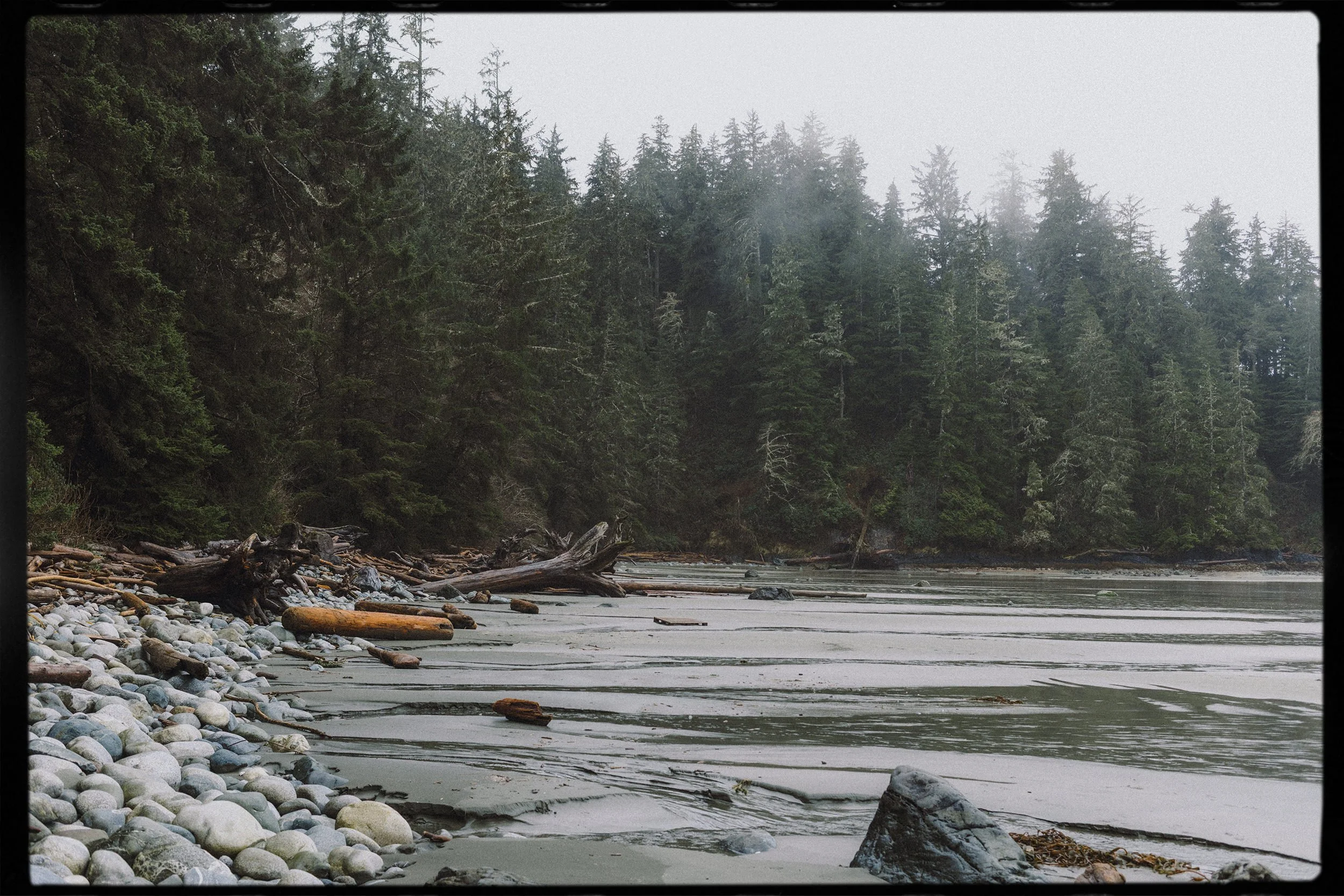 RFerand_20250325_R5_5467-Florencia and Half-Moon Bay, Ucluelet-HD.jpg