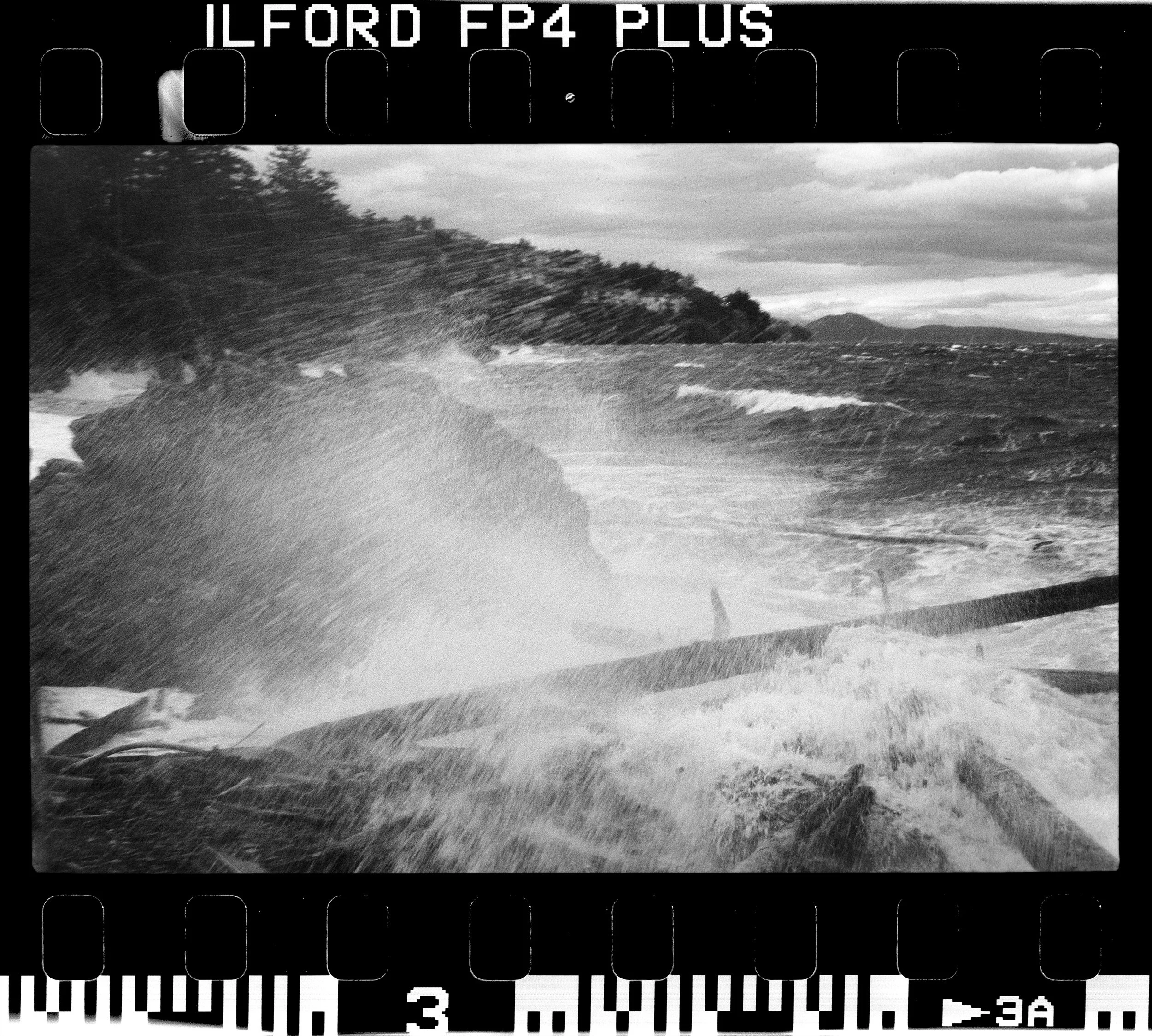 RFerand_BnW58_F3_FP4_37-Neck Point Park-HD.jpg
