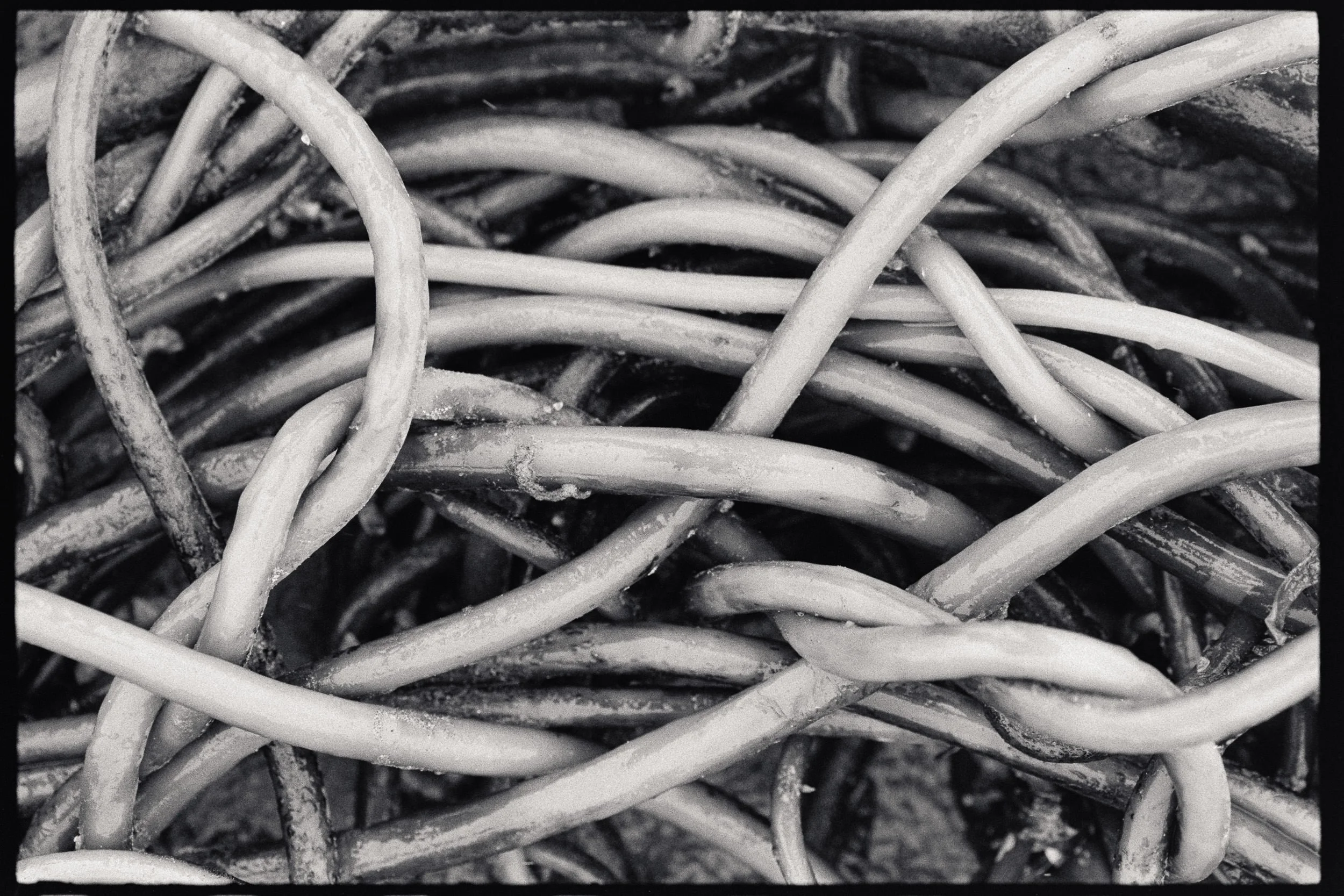 RFerand_BnW78_Elan7_HP5(800)_03-Chesterman Beach, Tofino-SD.jpg