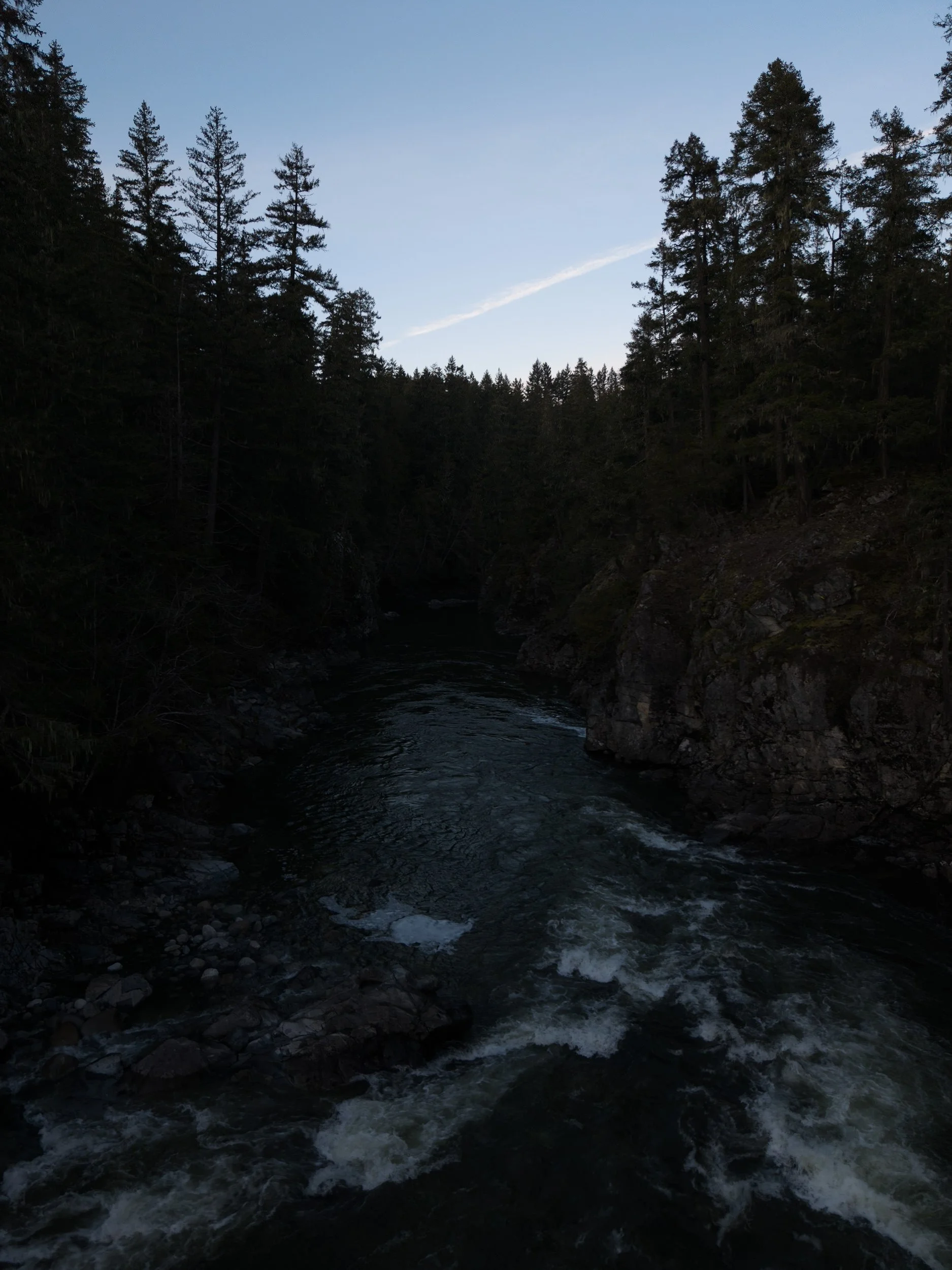 260124-RF-D1-0037-DxO_DeepPRIME XD3--SD.jpg