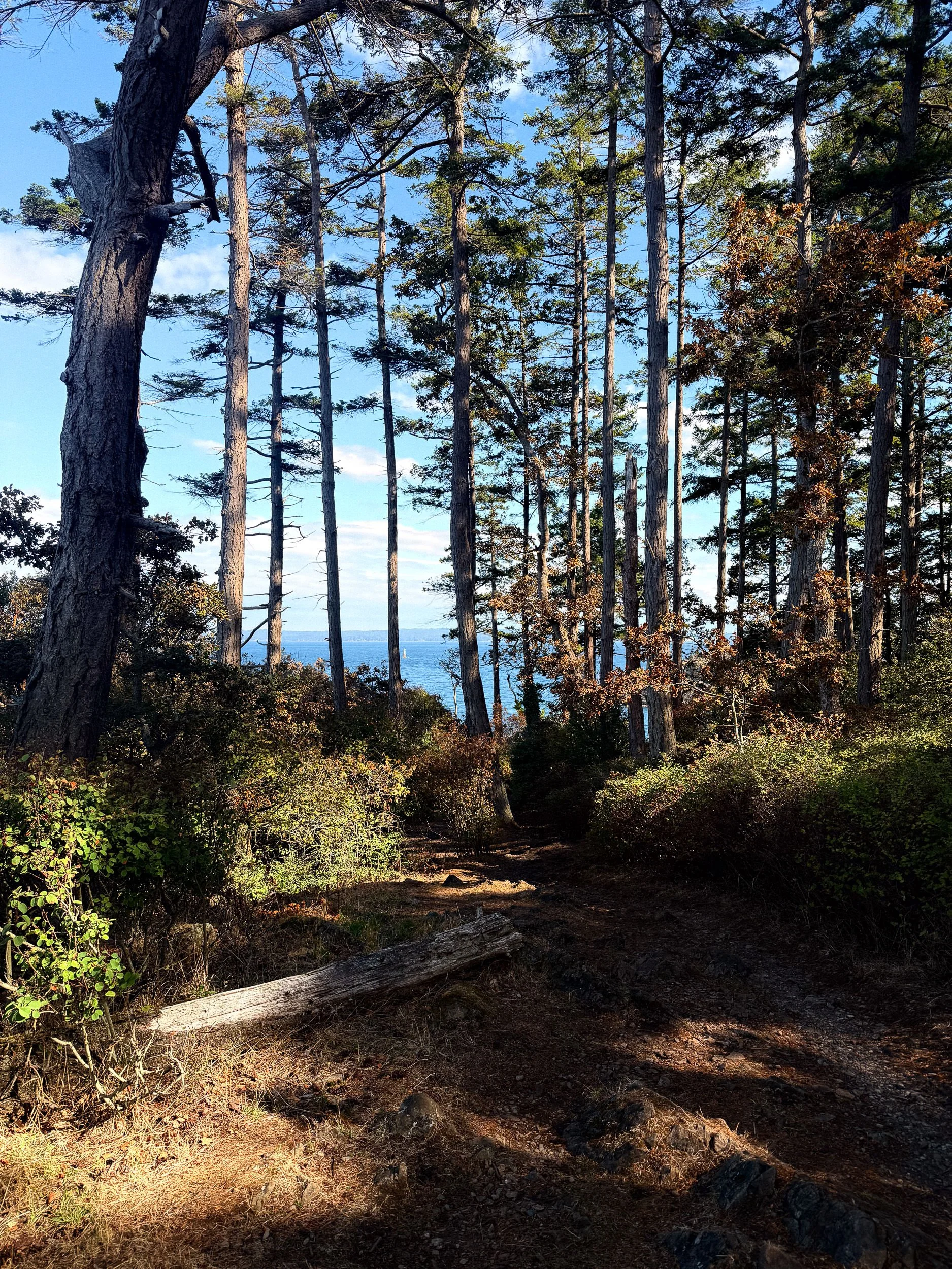 260901-RF-C1-4027-Pipers Lagoon-SD.jpg