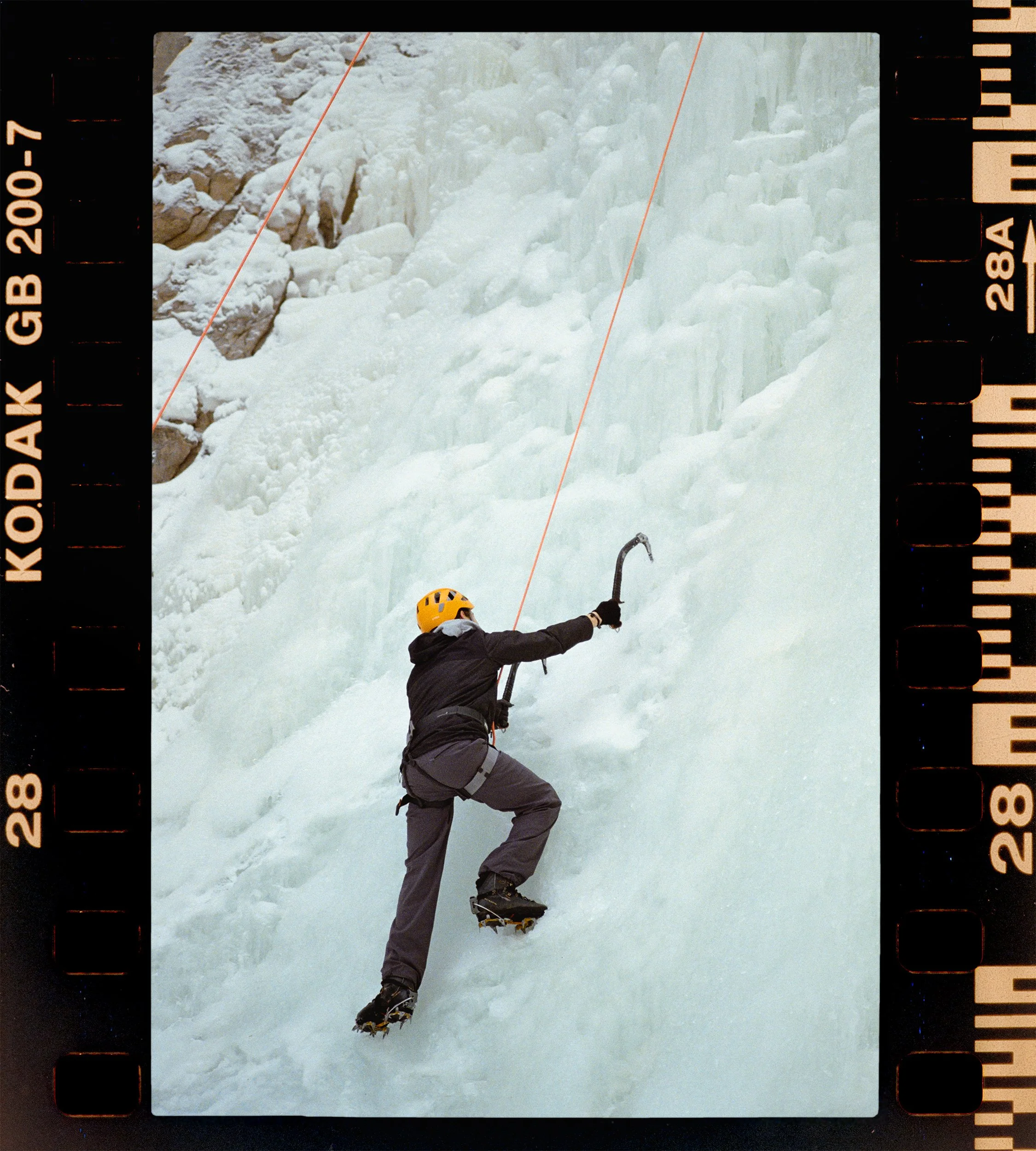 RFerand_20220509_C45_F3_Gold200-53_PS-Girth Hitch-HD.jpg