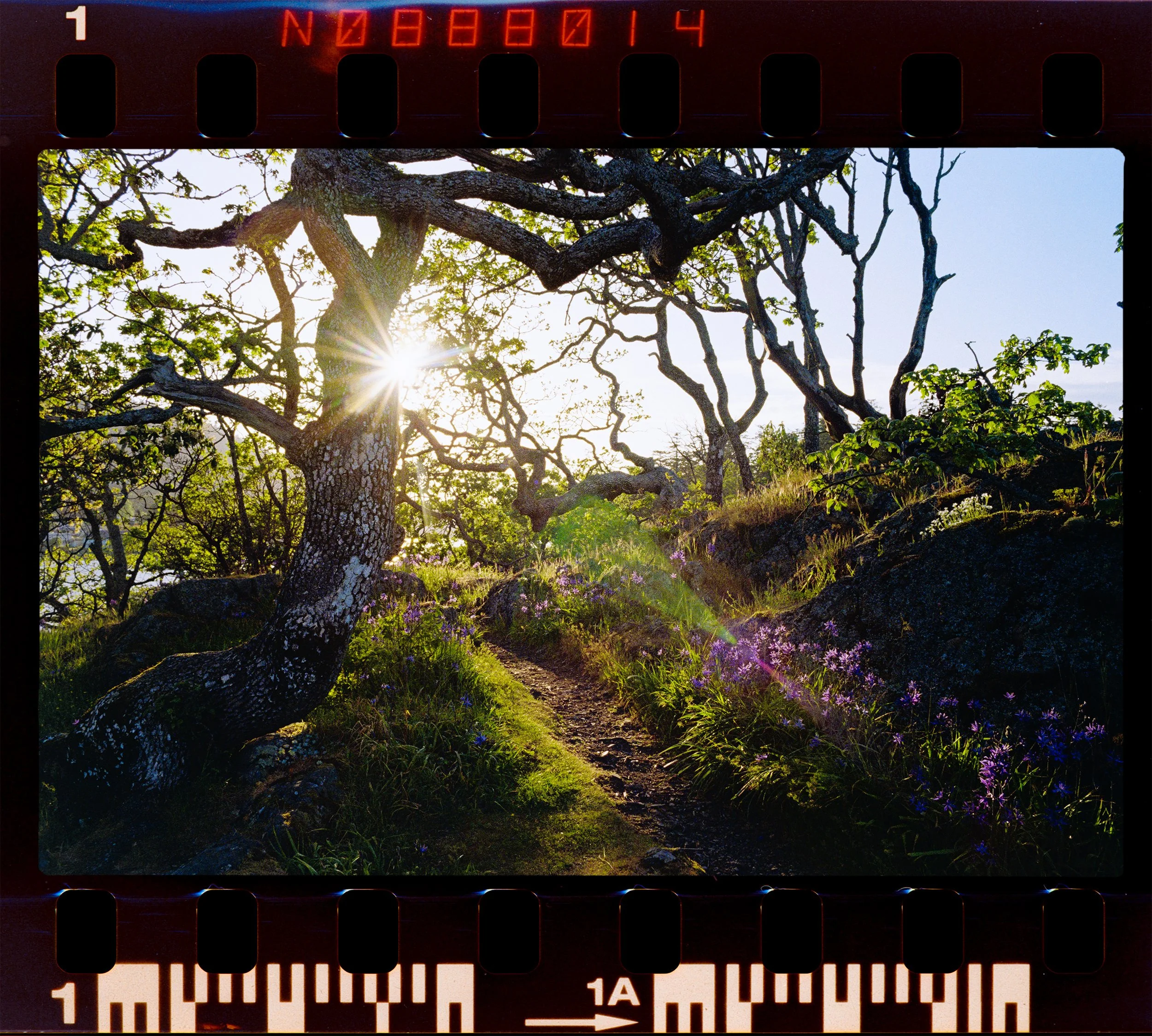 C136-Elan7-Kodacolor200-14-Pipers-Lagoon-HD.jpg
