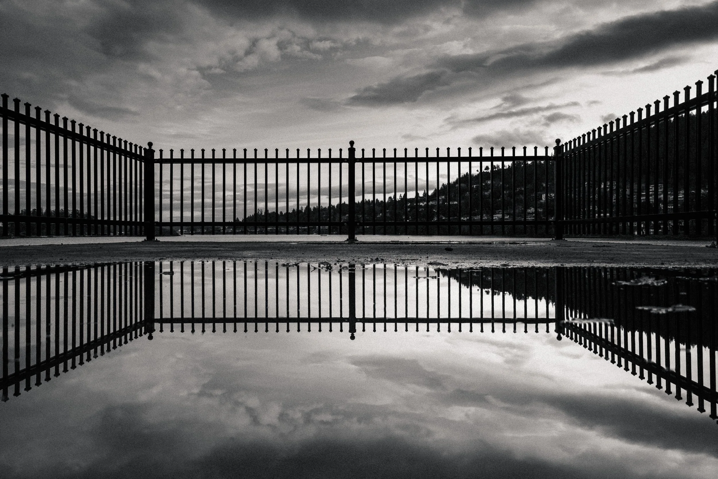 251206_RF_A1_iPhone 17 Pro_0736_Neck Point Park_SD_WEB.jpg