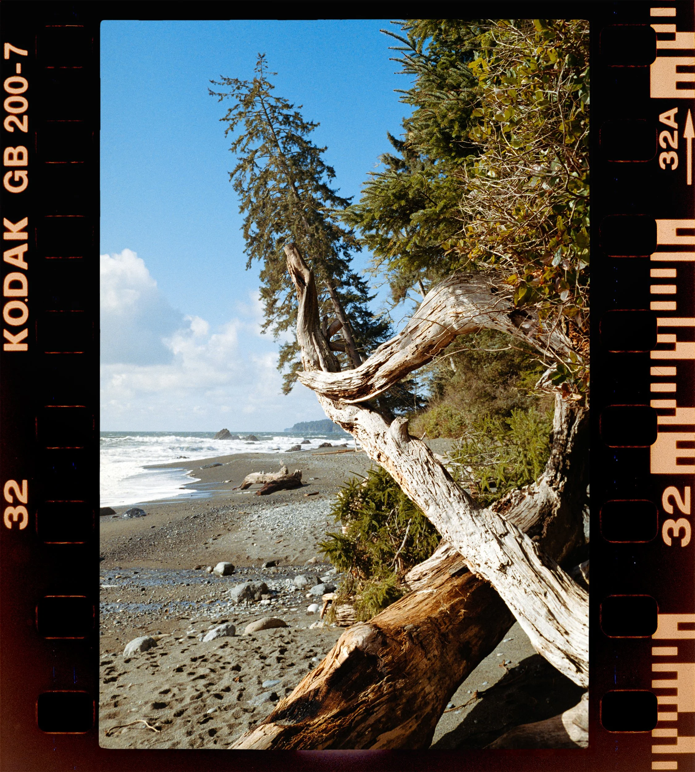 RFerand_C79_Elan7_Gold200_32-Sombrio Beach-HD.jpg