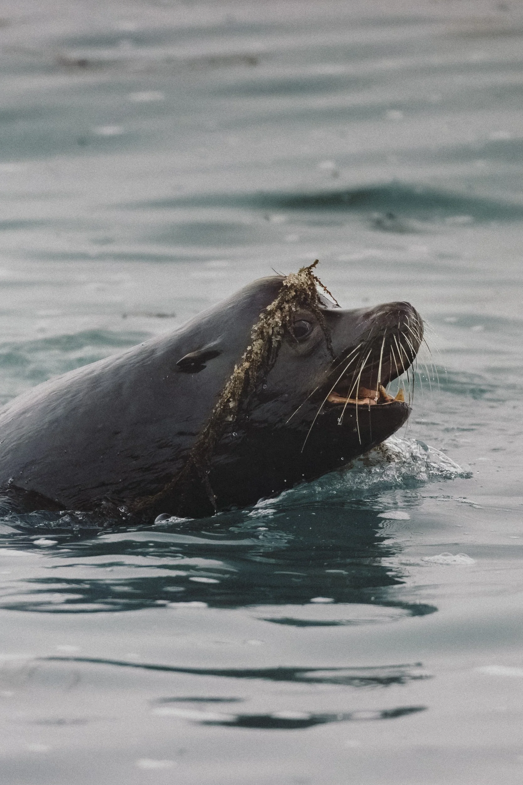 RFerand_20250320_R5_4099-CR3_dxo_Neck Point Park_SD_WEB.jpg