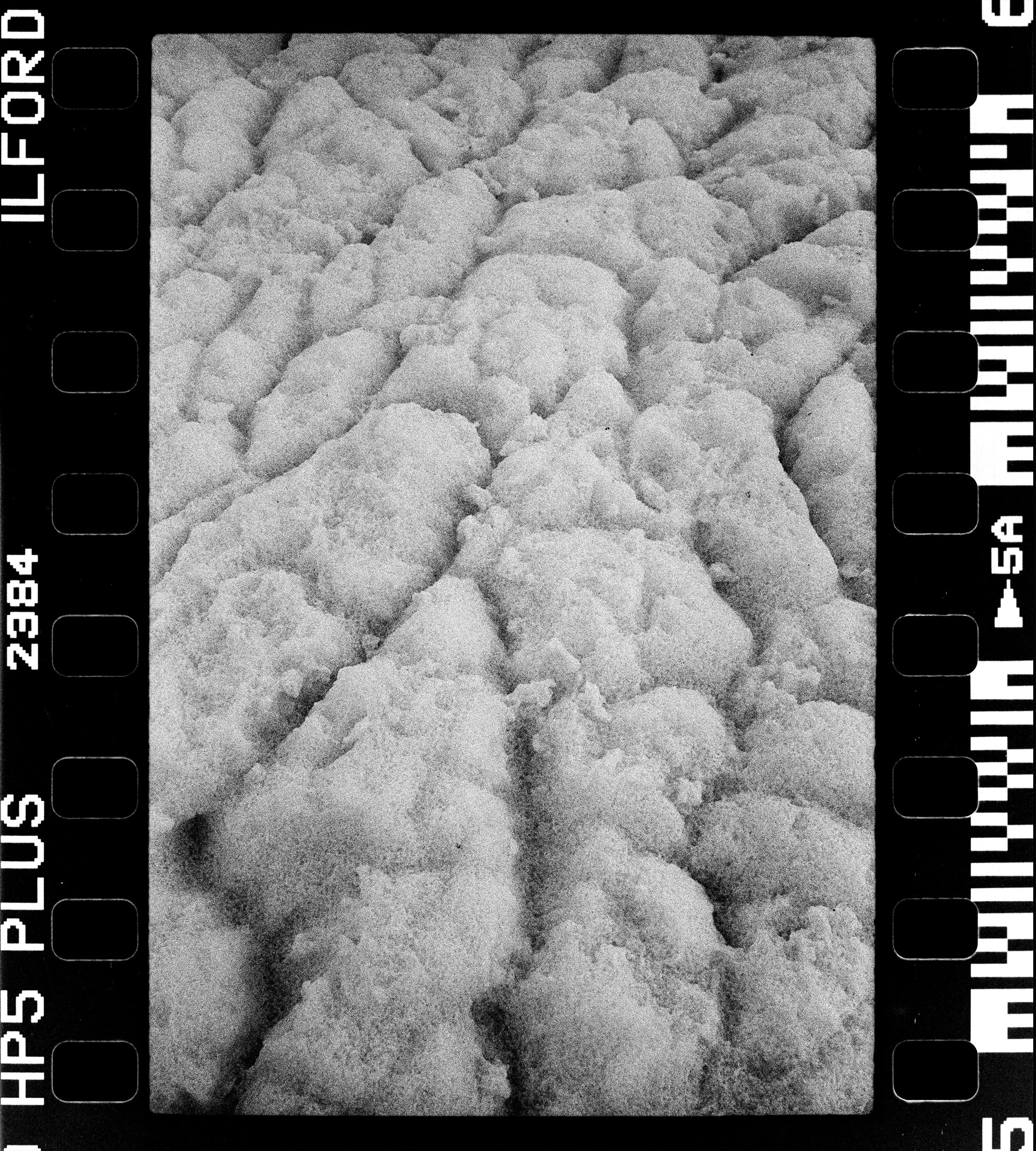RFerand_BnW73_Elan7_HP5_25-Herring Spawn - Bowser-HD.jpg