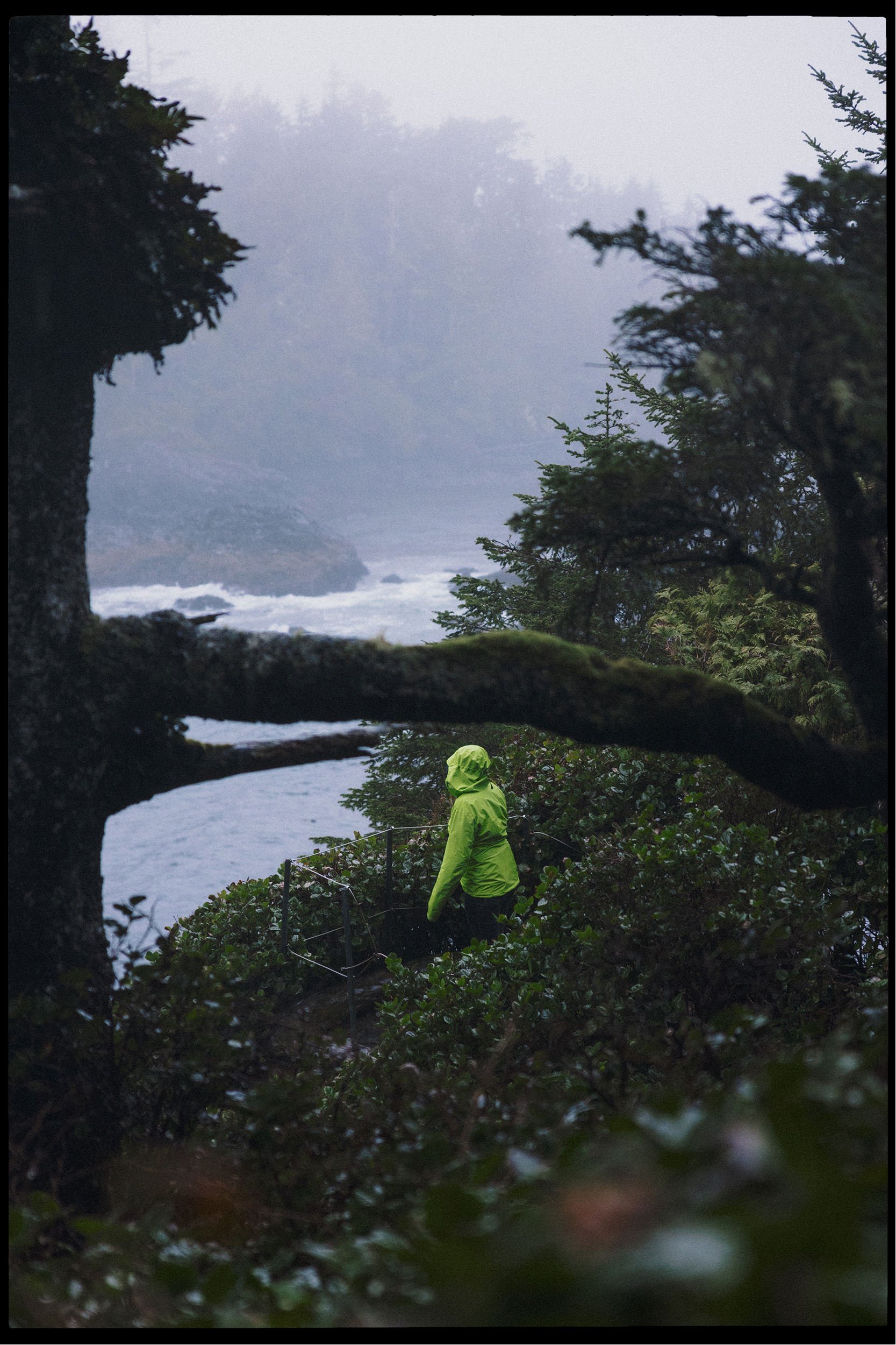 RFerand_20250323_R5_4505-Amphitrite Point, Ucluelet-HD.jpg