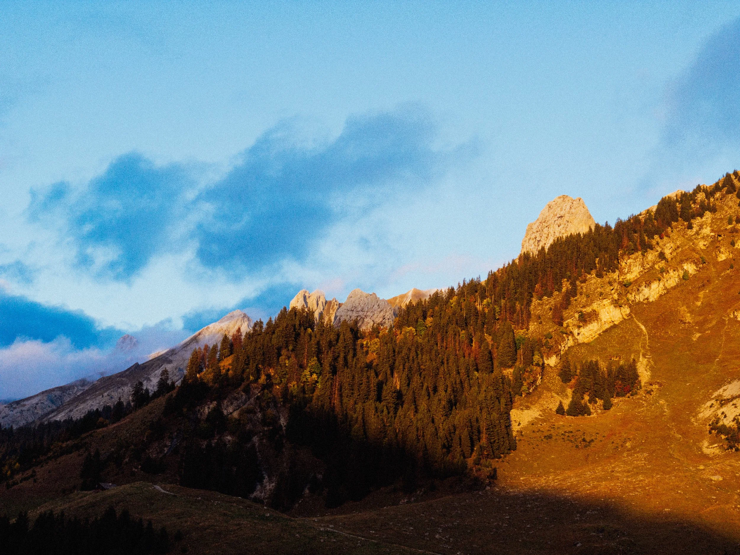 RFerand_20251005_IMG_0518_Les Confins_SD_WEB.jpg