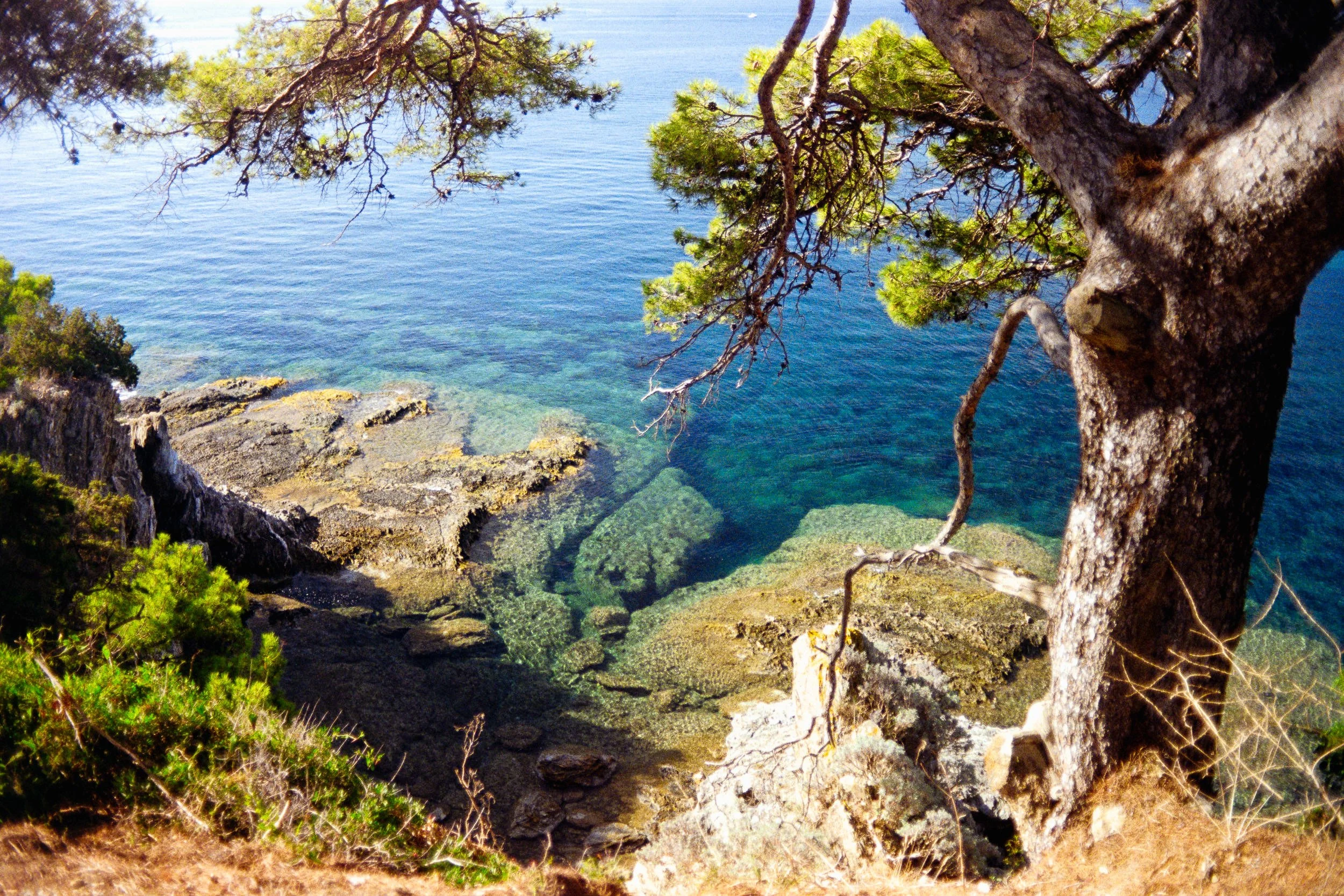 RFerand_C125_OM2_Gold200_15_Plage des Darboussières_SD_WEB.jpg