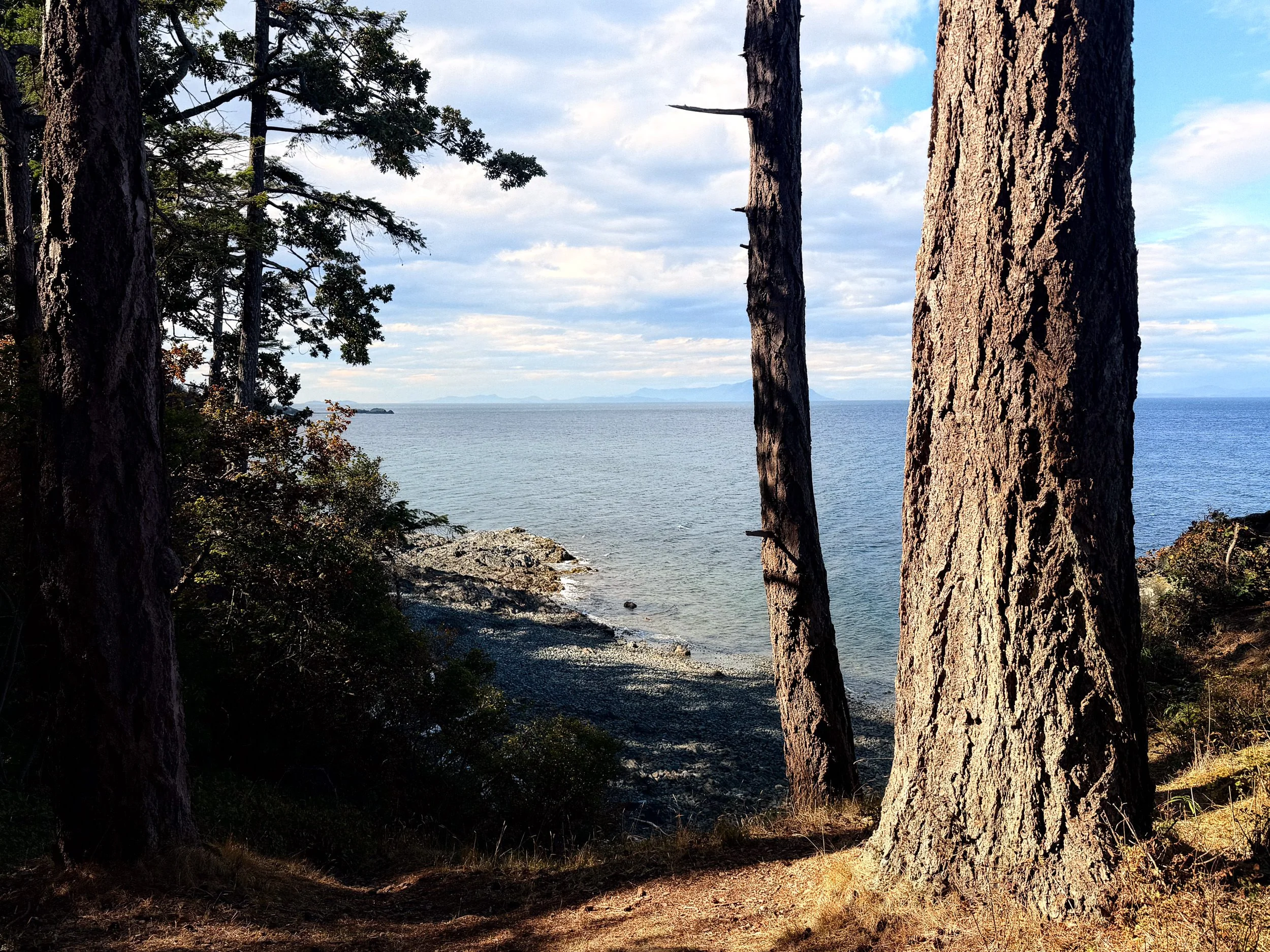 260901-RF-C1-4028-Pipers Lagoon-SD.jpg