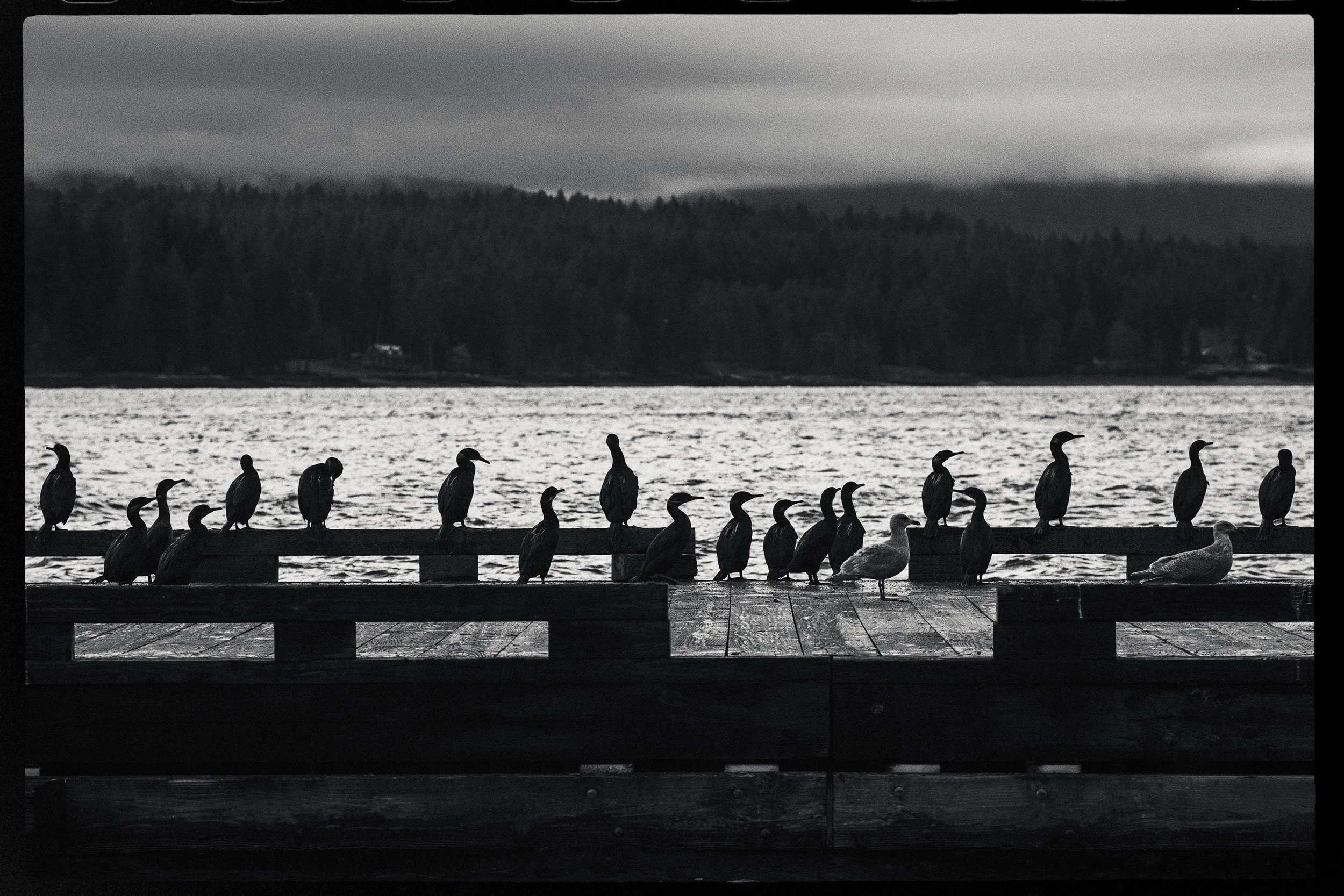260320-RF-A1-8829-Edit-Ford-Cove-HD.jpg