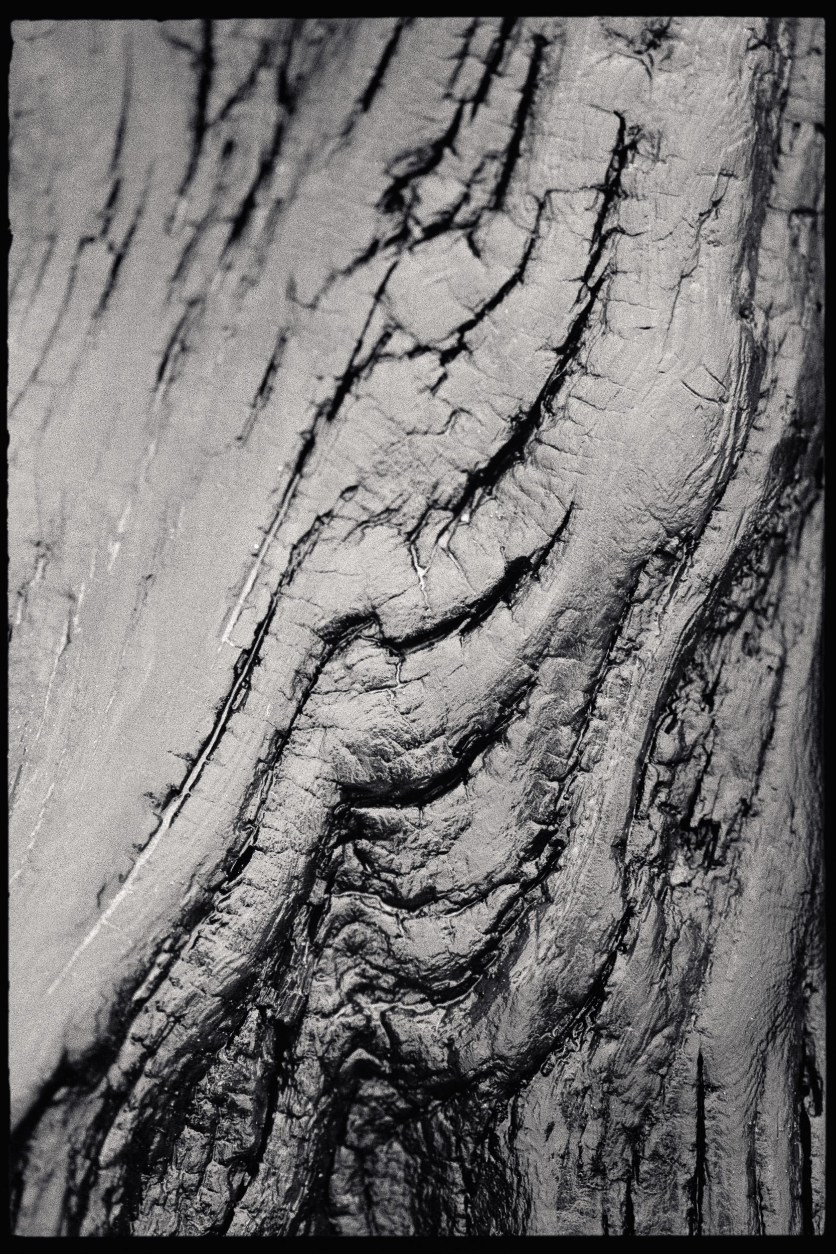 RFerand_BnW78_Elan7_HP5(800)_07-Edit-Chesterman Beach, Tofino-SD.jpg