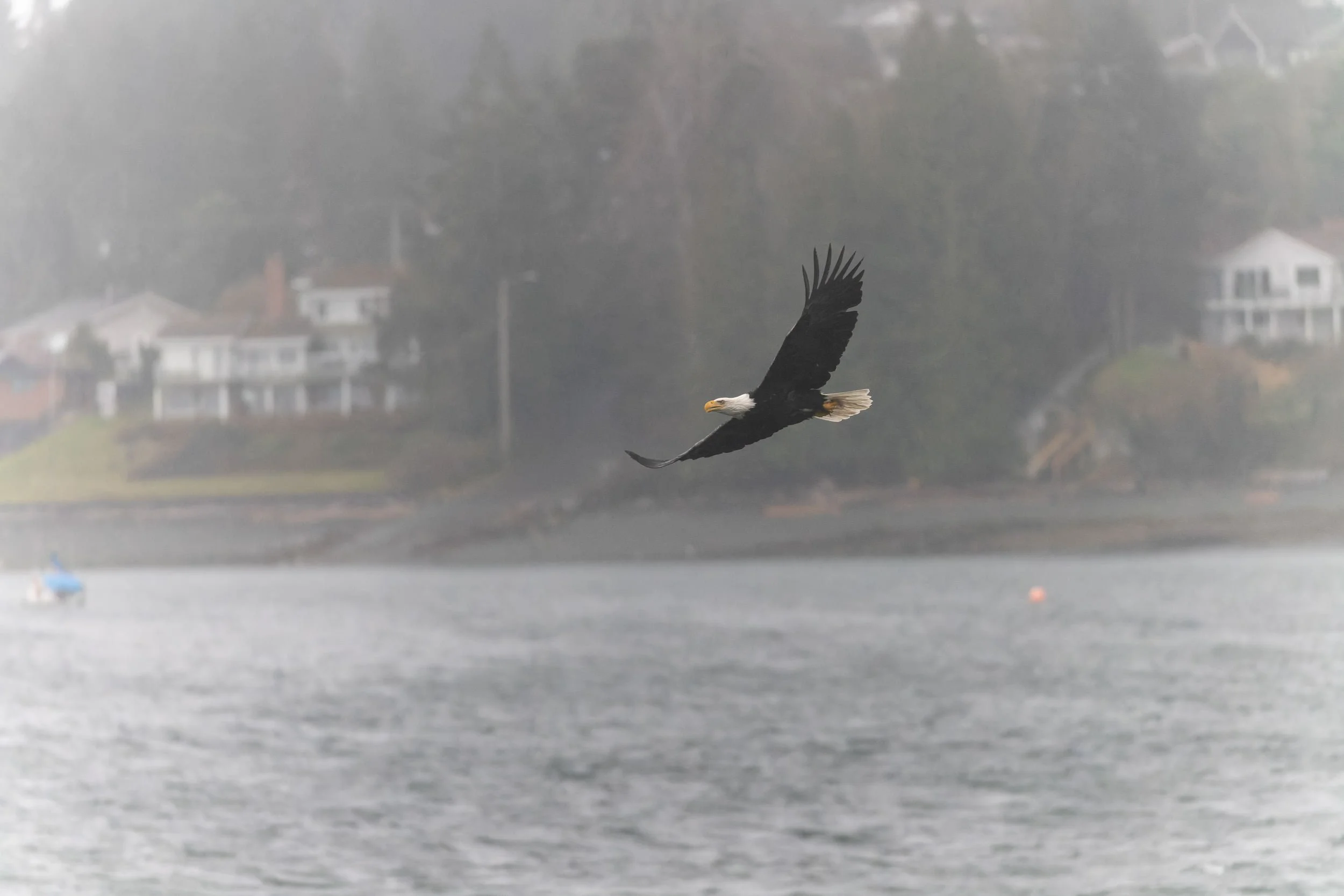 RFerand_20250320_R5_4475-DxO_DeepPRIME XD3--SD.jpg