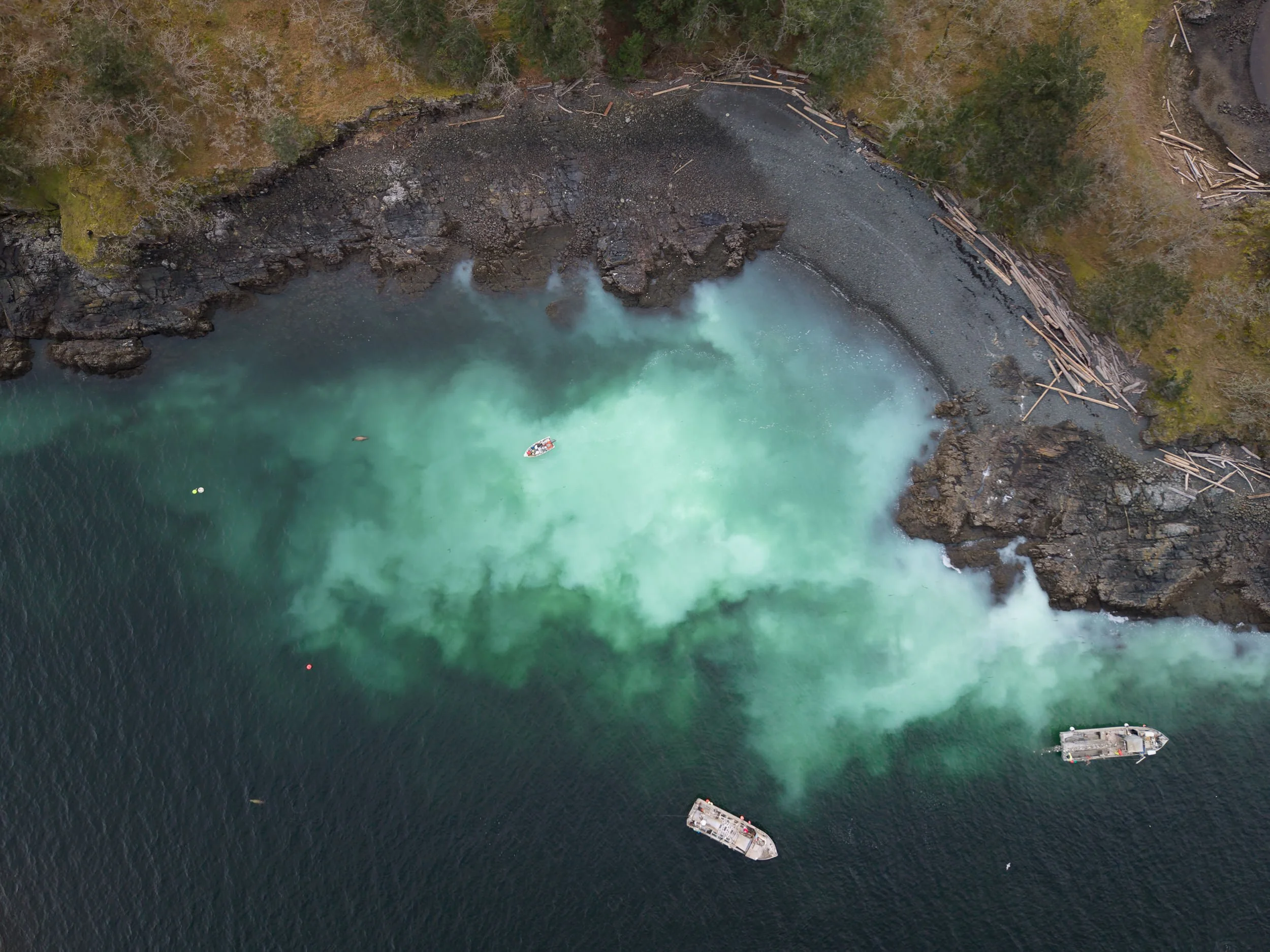 260309-RF-D1-0189-DxO_DeepPRIME XD3--SD.jpg