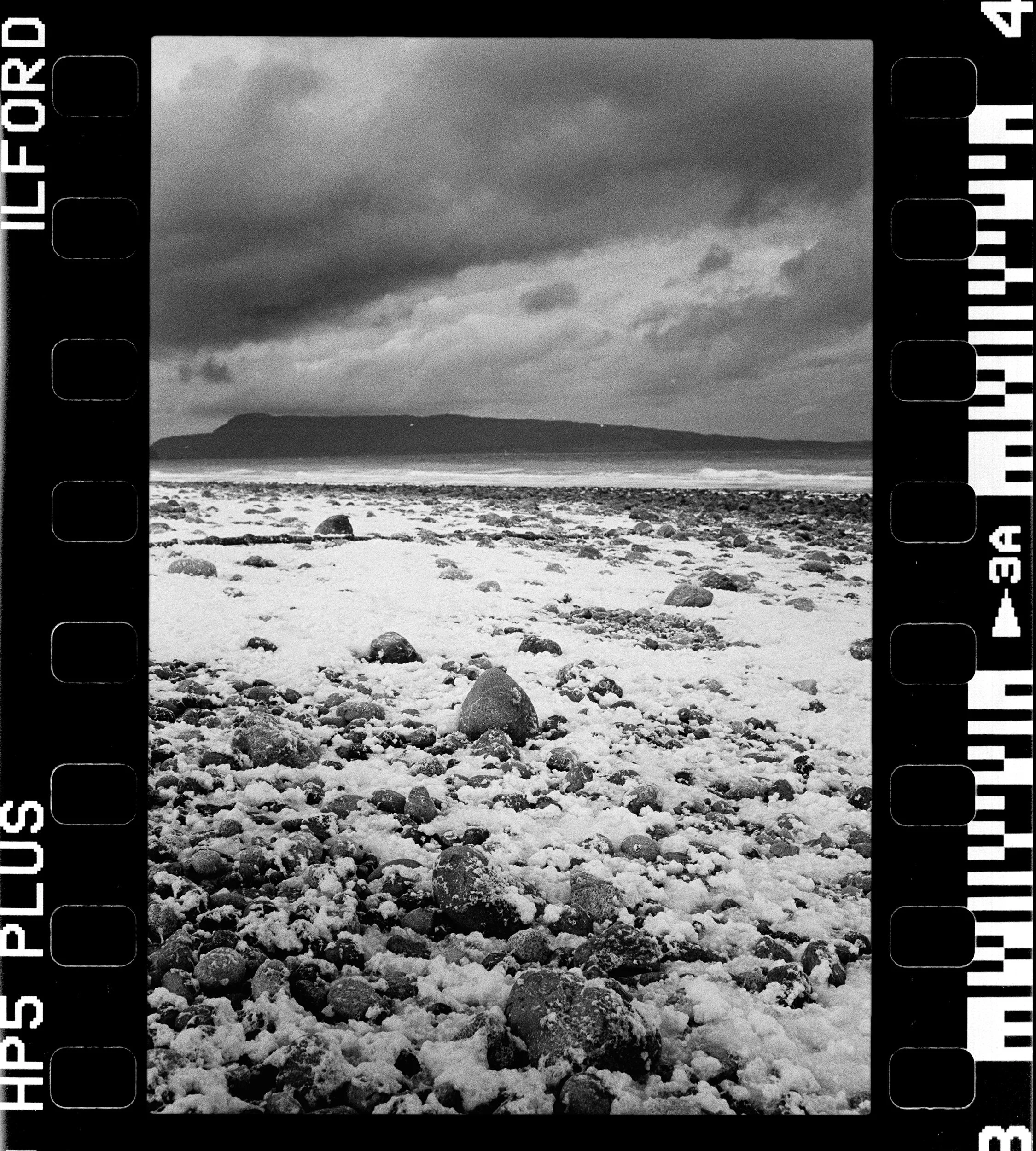 RFerand_BnW73_Elan7_HP5_16-Herring Spawn - Bowser-HD.jpg